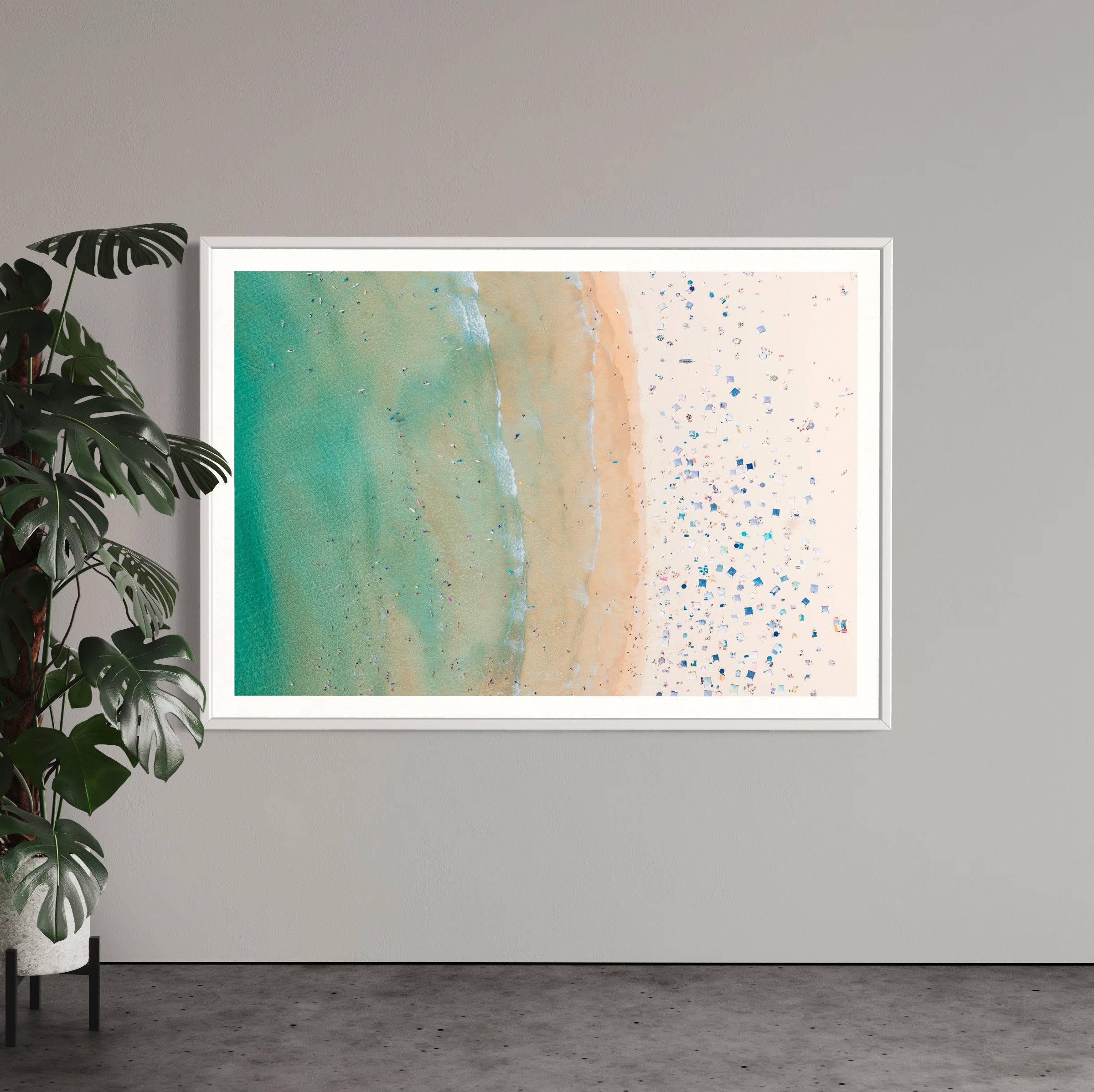 Freshwater Beach - Arte House