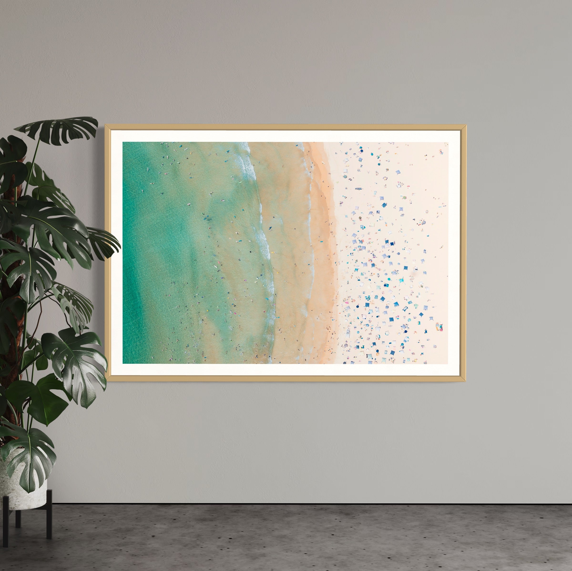 Freshwater Beach - Arte House