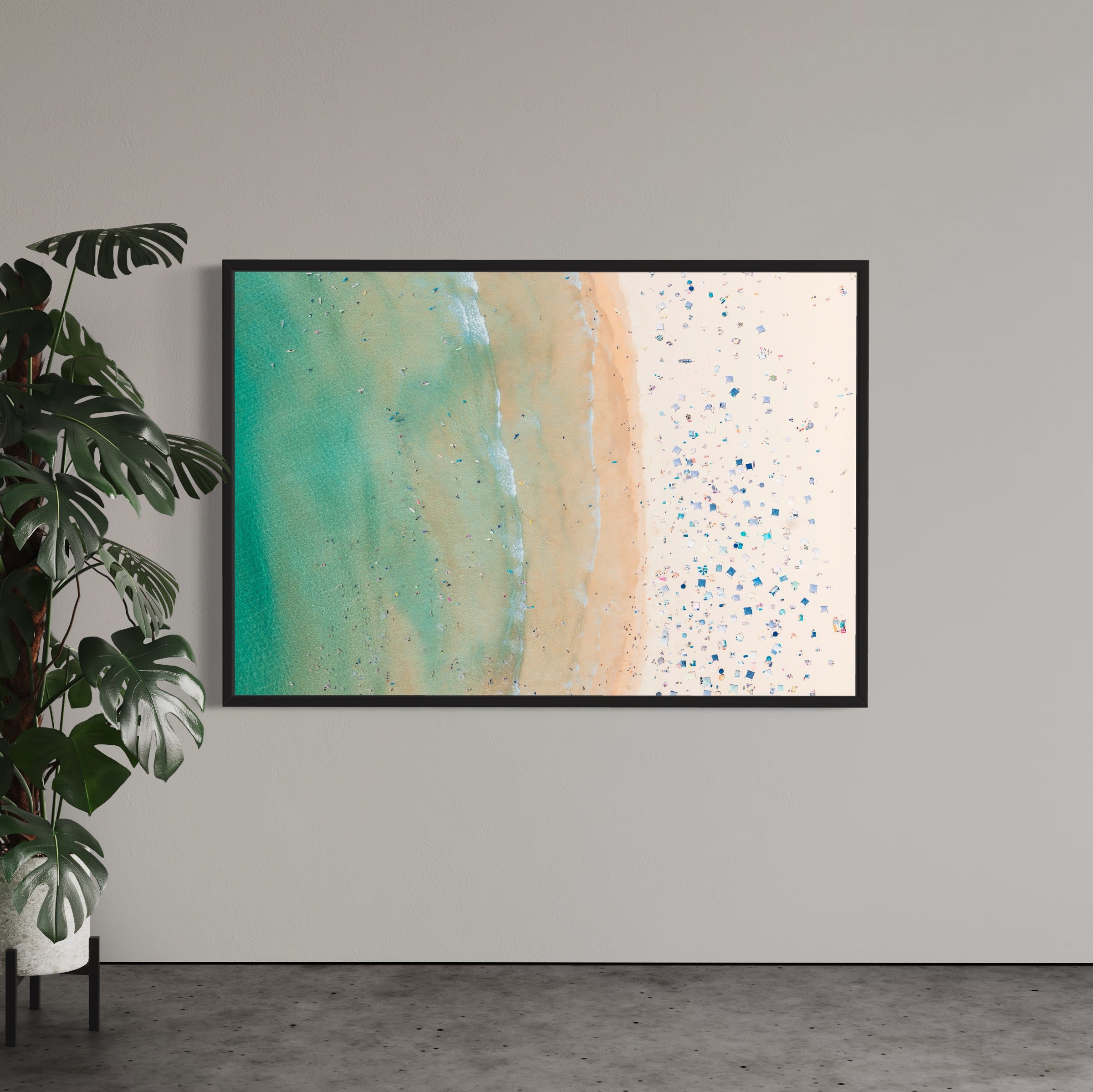 Freshwater Beach - Arte House