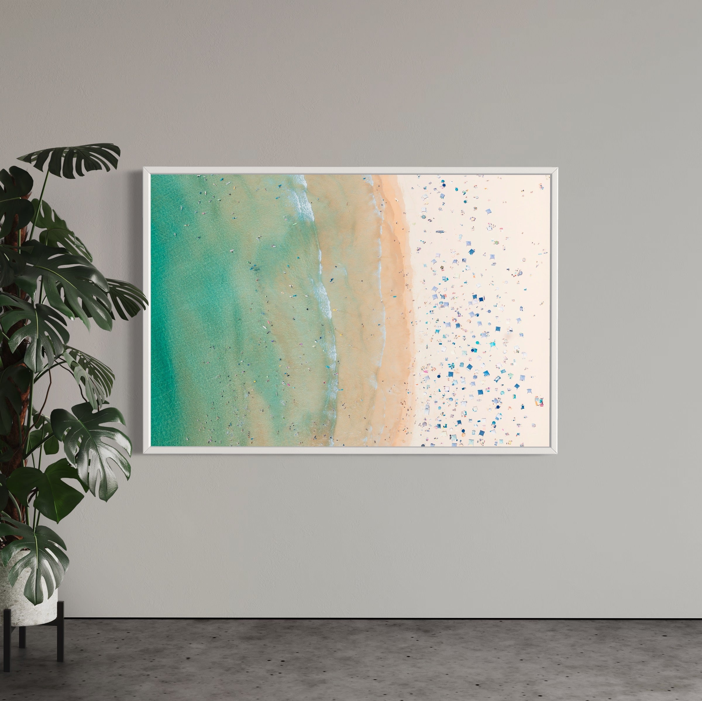 Freshwater Beach - Arte House