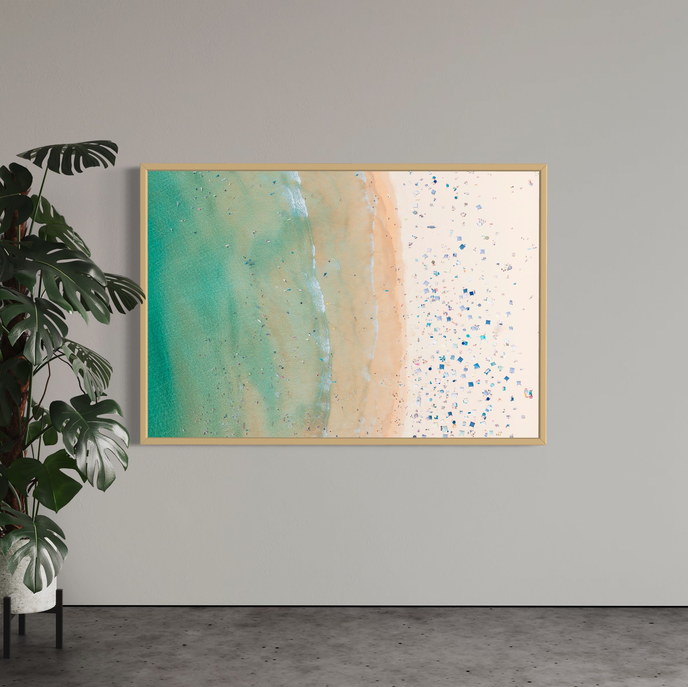 Freshwater Beach - Arte House