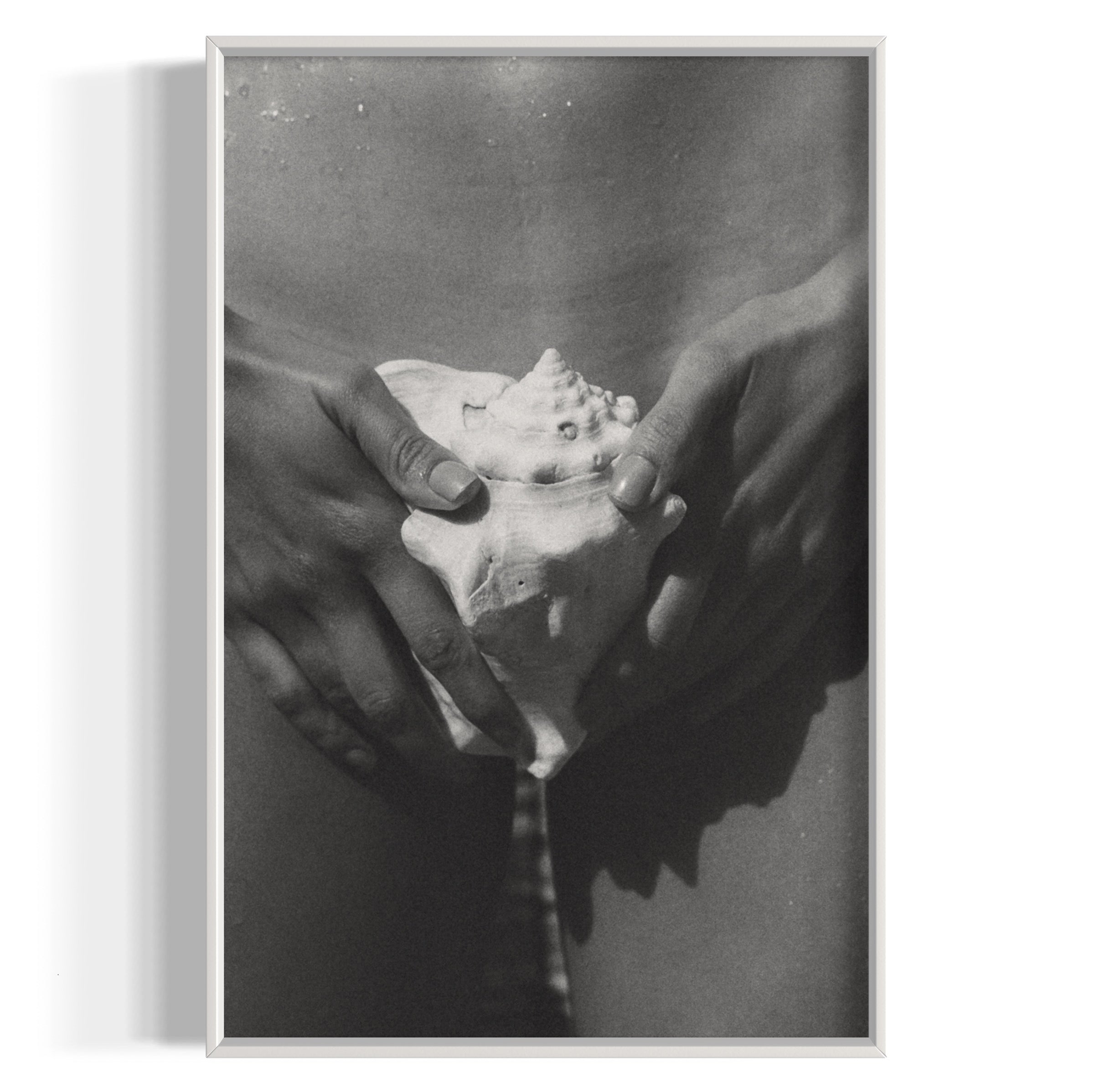 The Shell