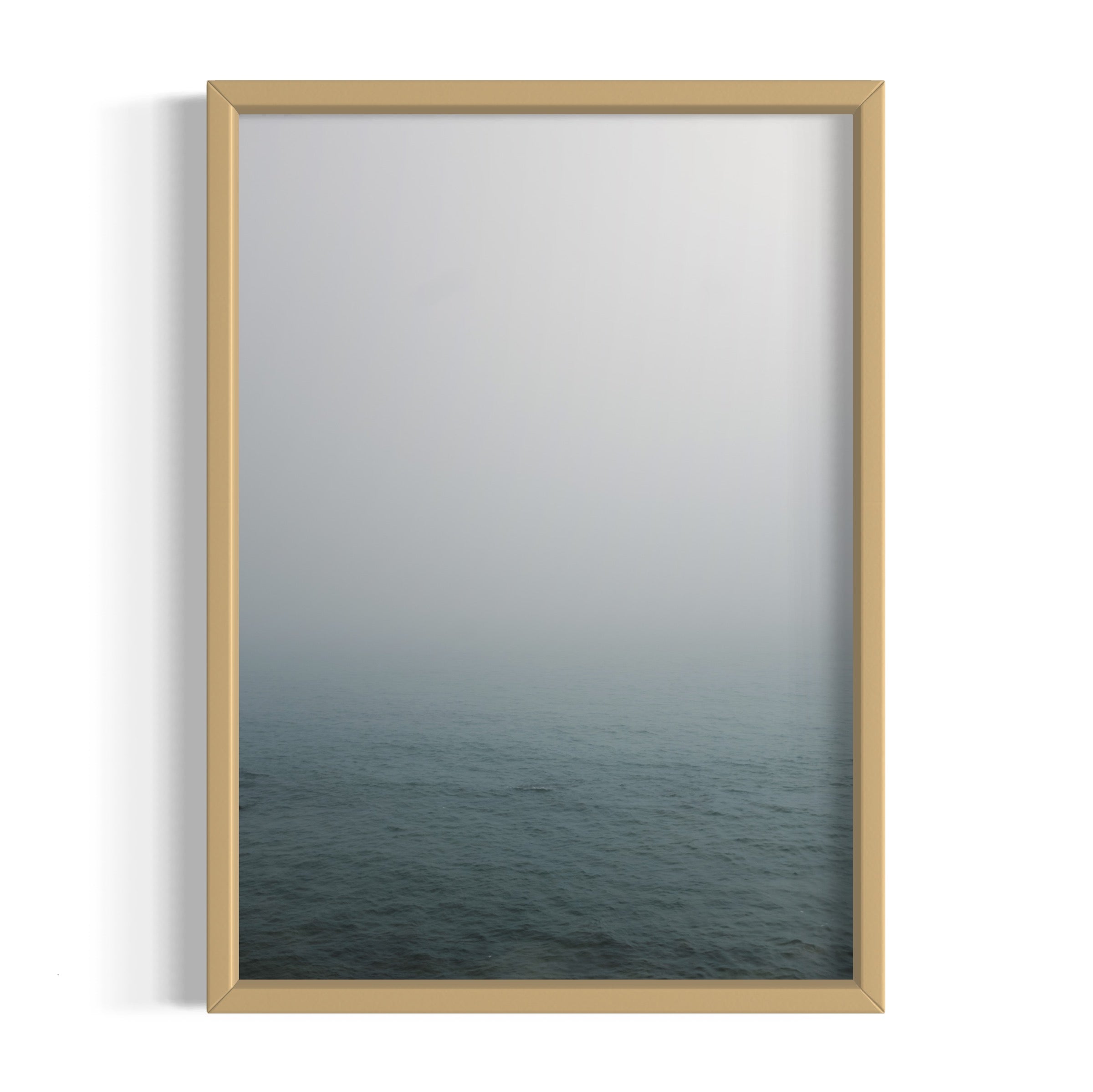Foggy Morning