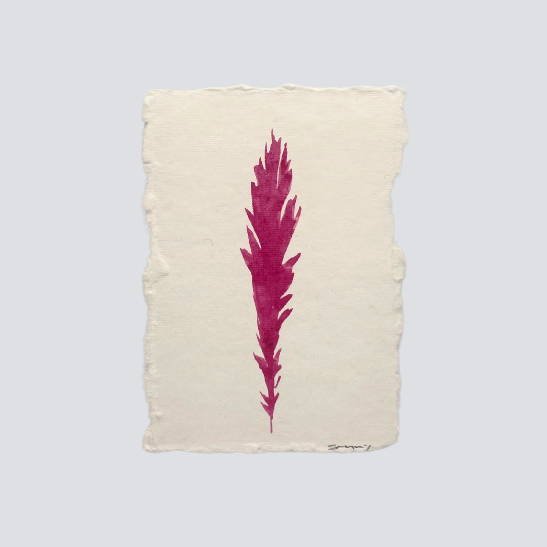 Medium Magenta Angel Feather - Arte House