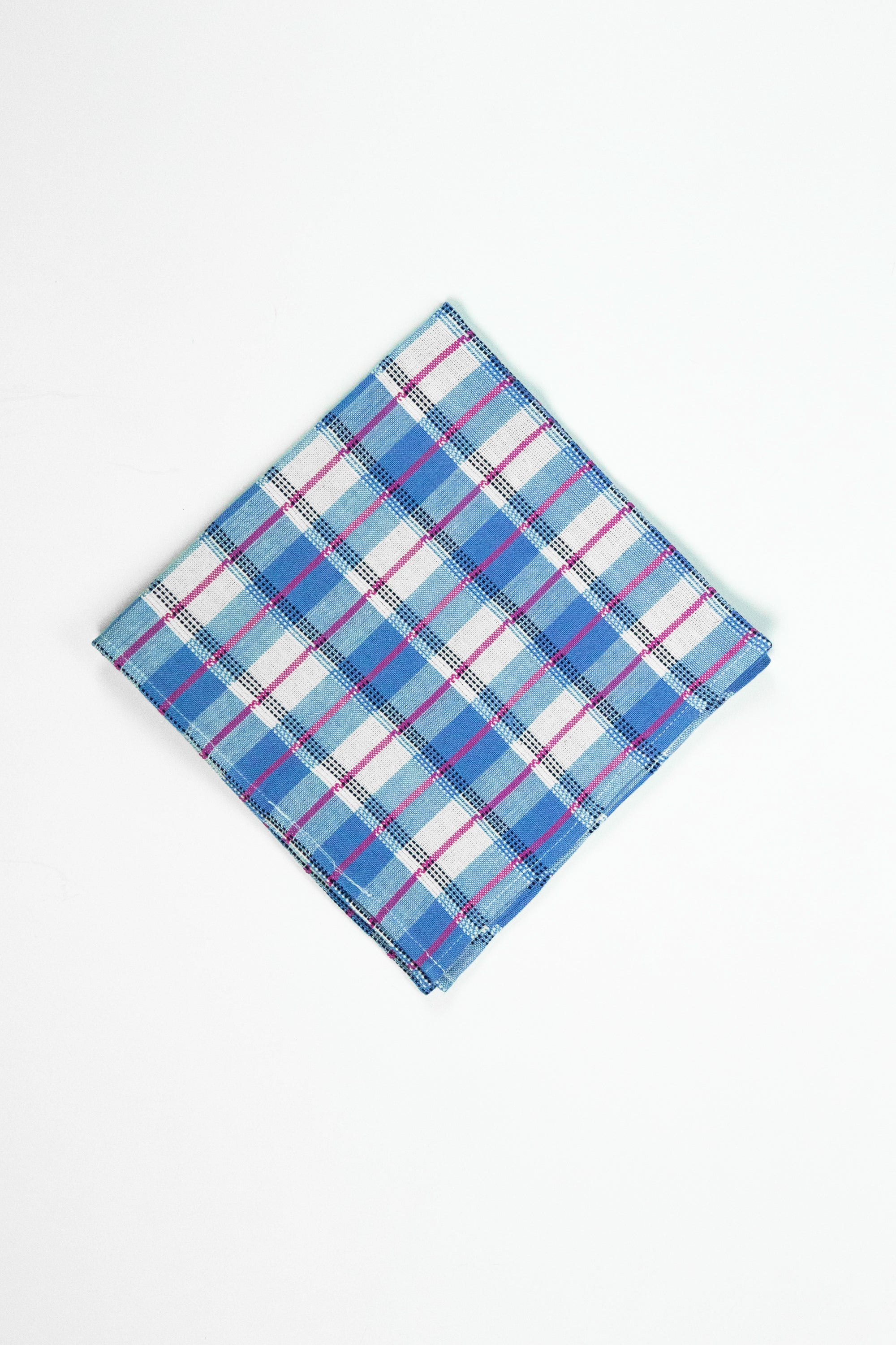 San Andres Gingham Blue & White Napkins - Arte House