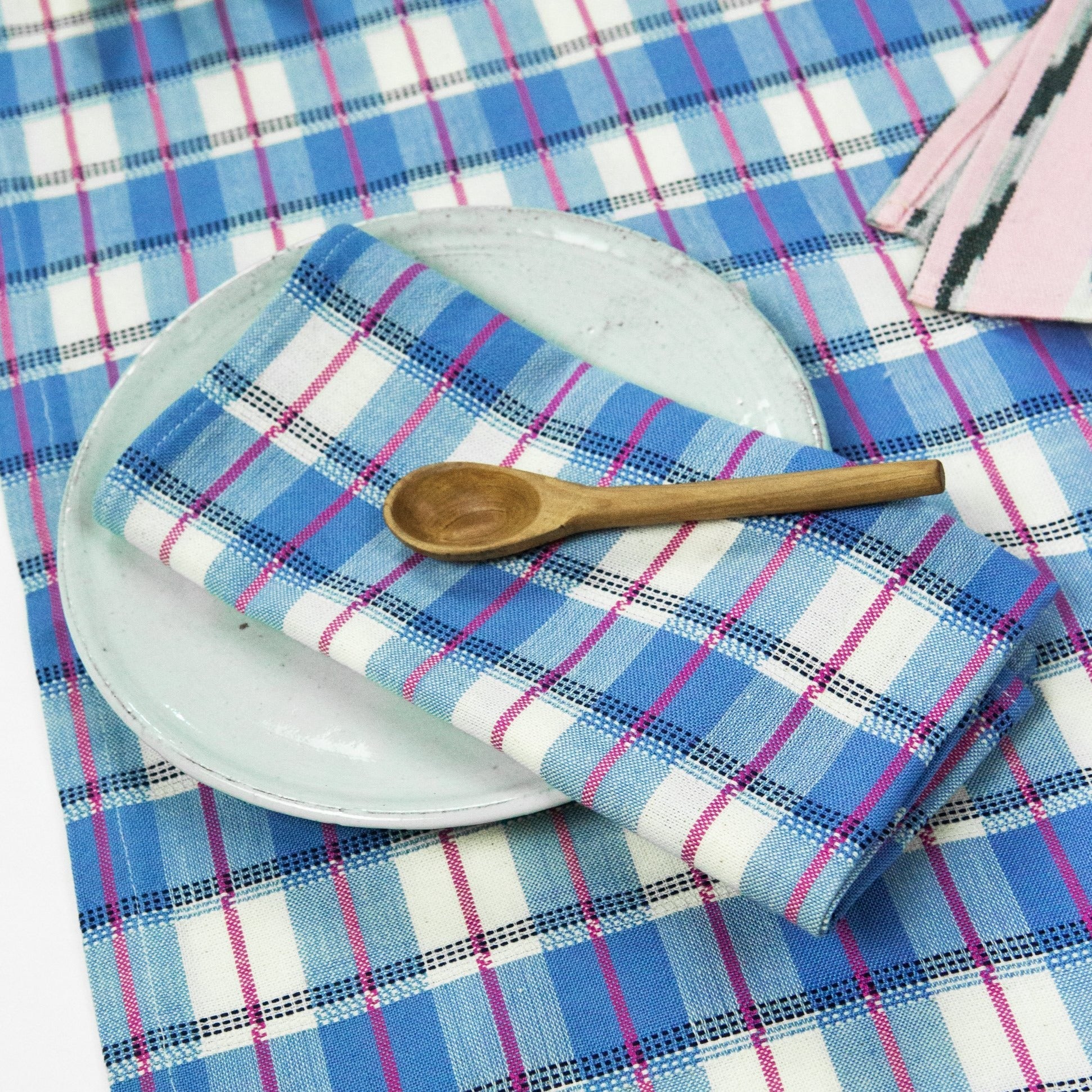 San Andres Gingham Blue & White Napkins - Arte House