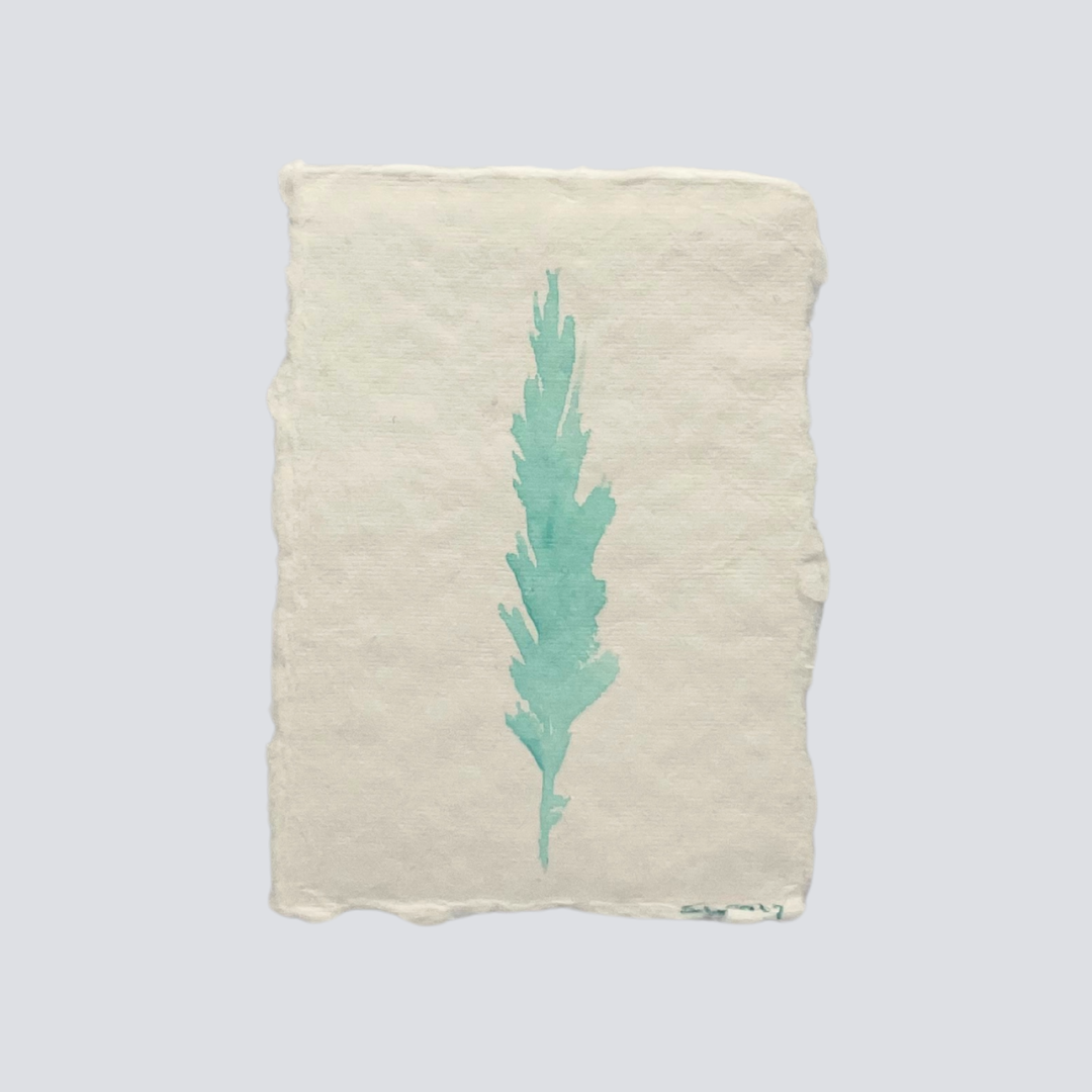 Medium Sea Foam Angel Feather