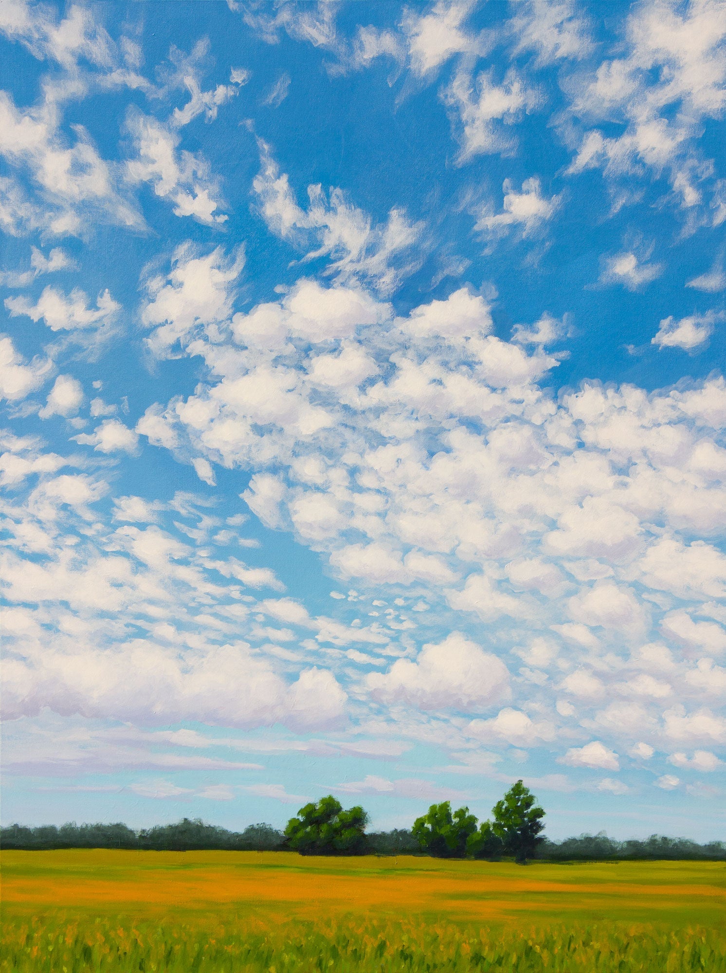 Wichita June Day #2 a Vertical Art Print