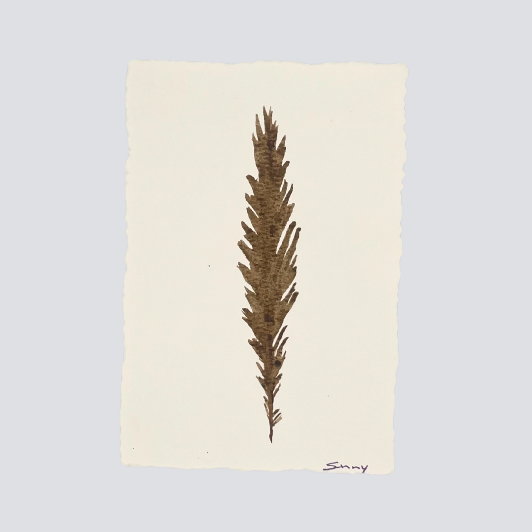 Large Walnut Brown Angel Feather