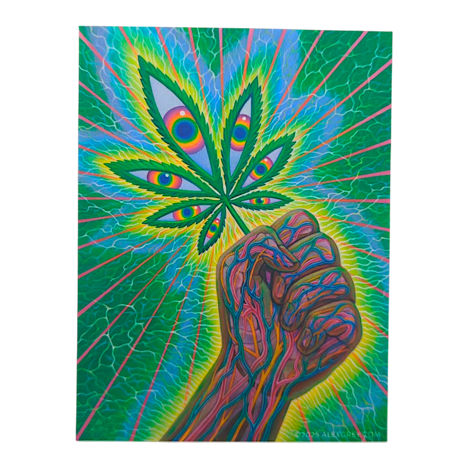 Alex Grey Cannafist Sticker - Arte House
