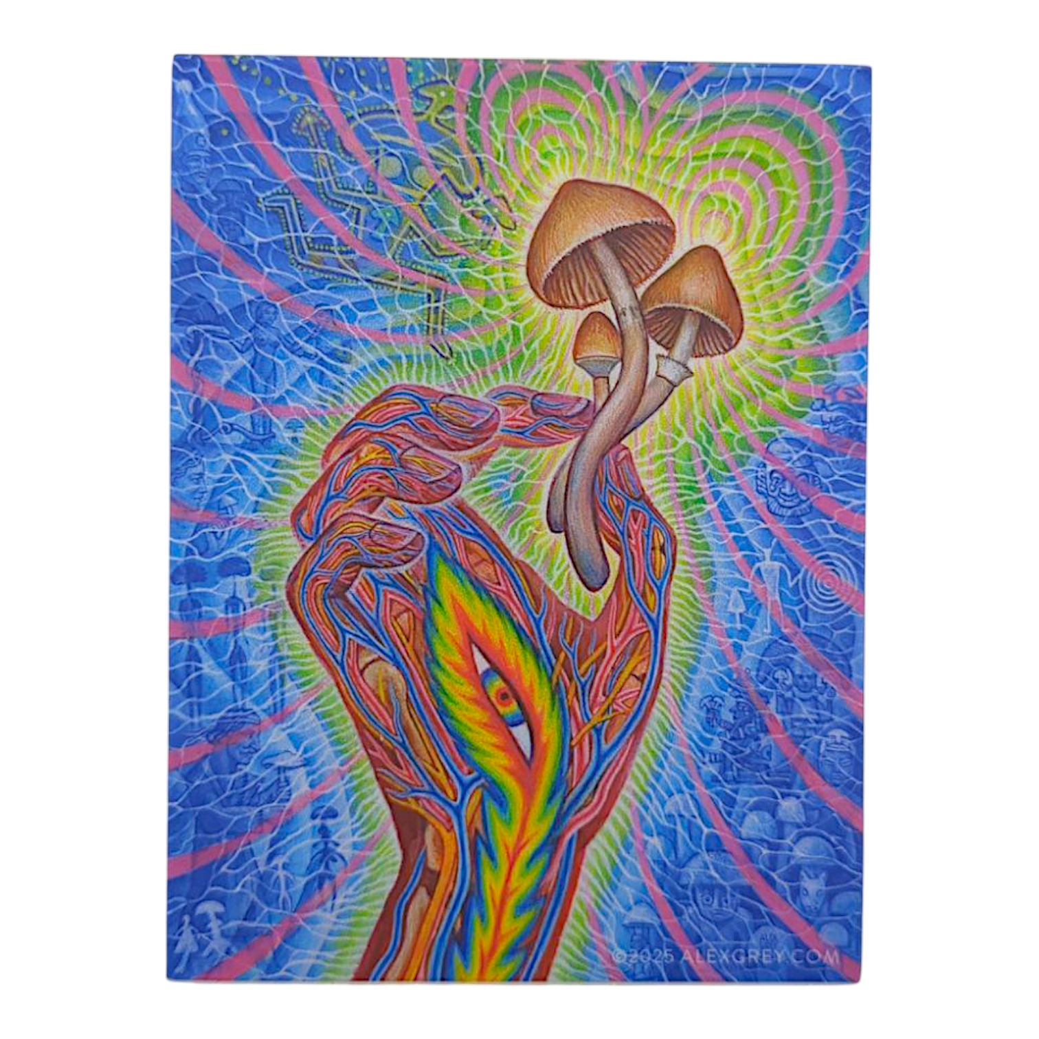 Alex Grey Flesh of the Gods Sticker - Arte House