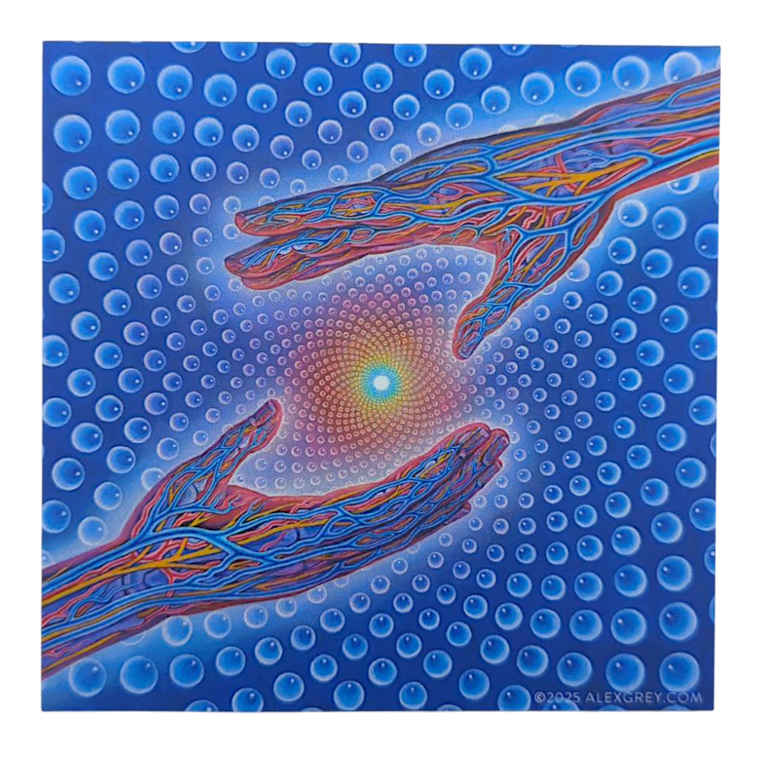 Alex Grey Psychedelic Healing Sticker - Arte House