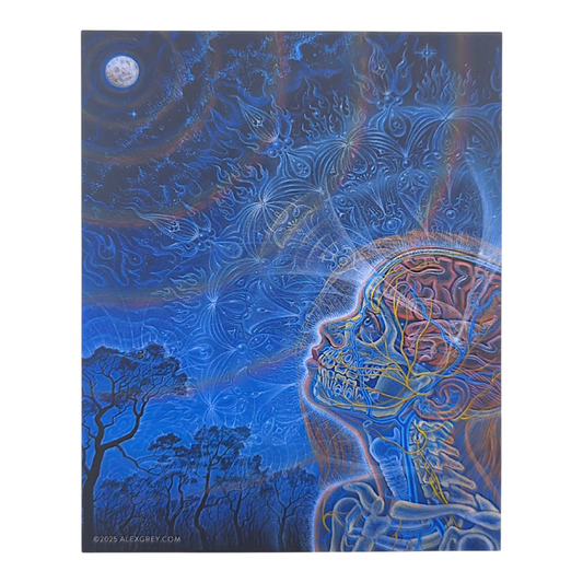 Alex Grey Wonder Sticker