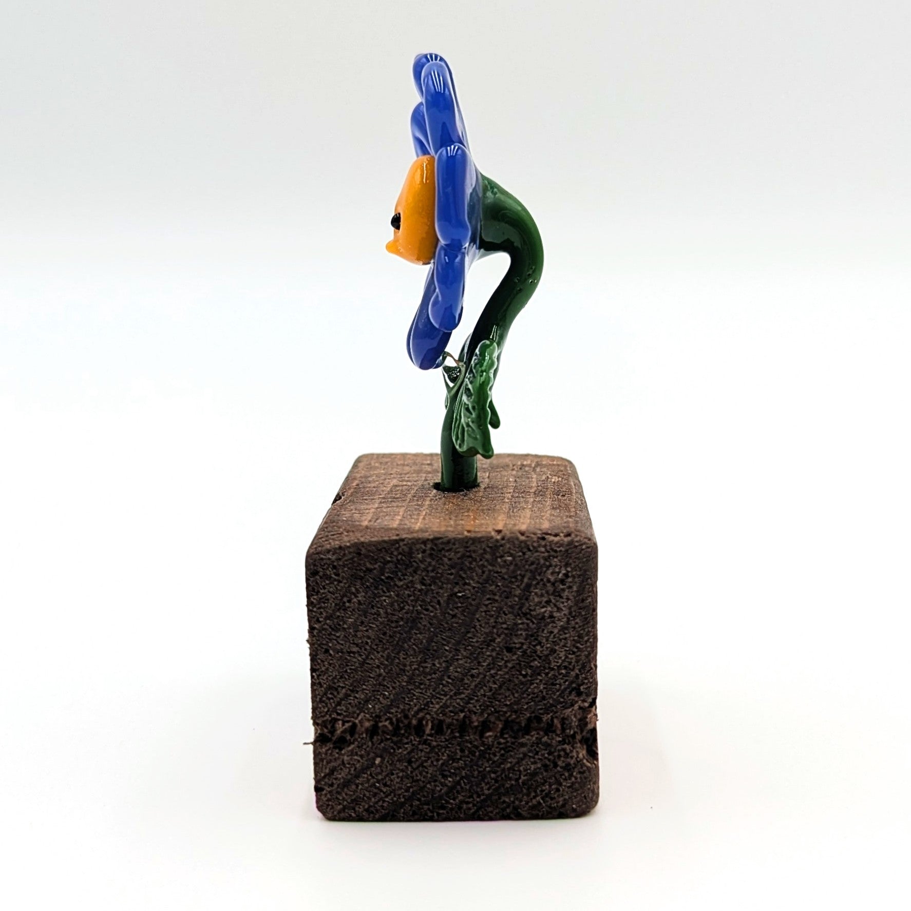 Ethan Windy "Iris" Glass Sculpture - Arte House