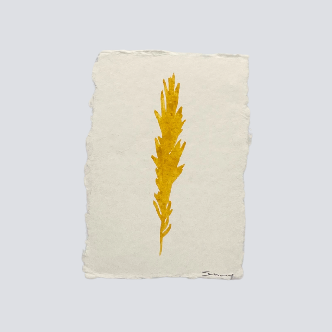 Medium Marigold Angel Feather