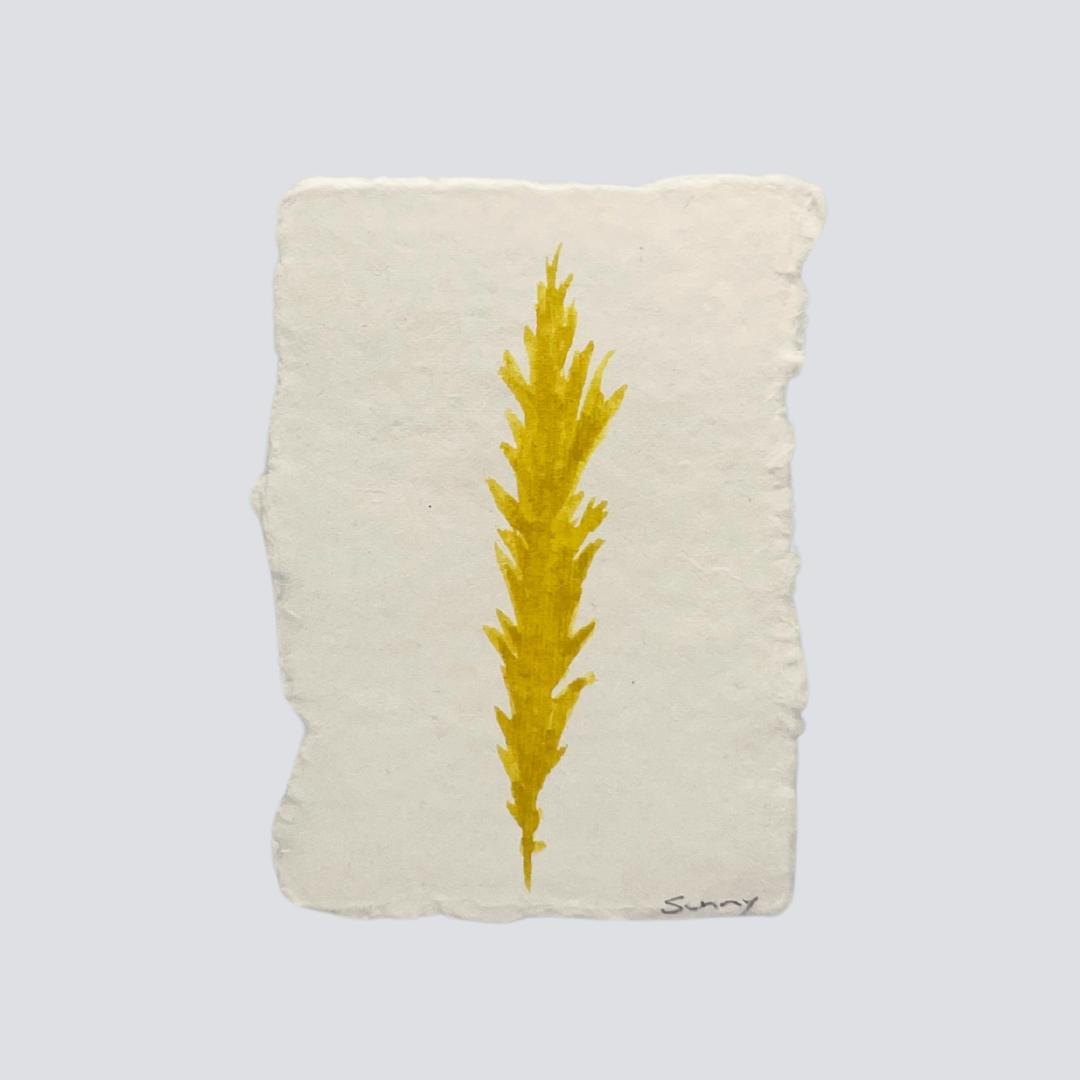 Medium Mustard Gold Angel Feather - Arte House