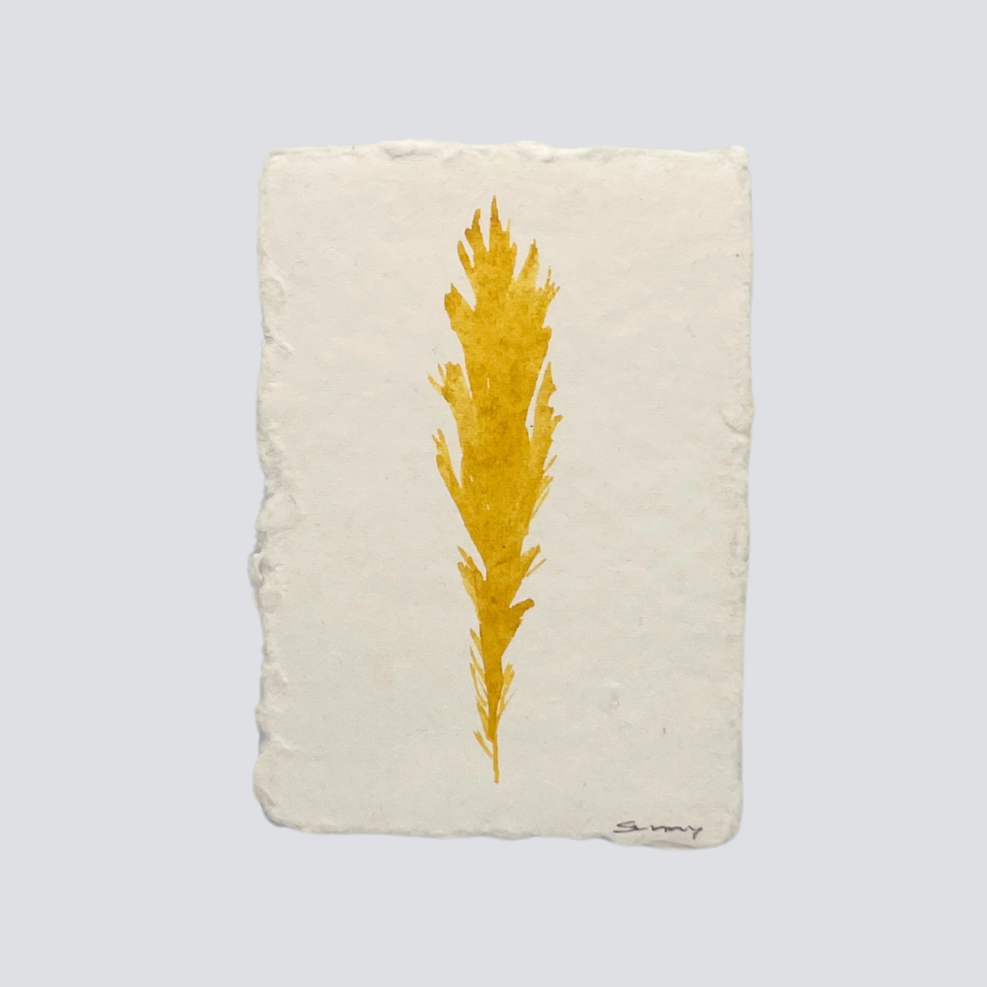 Medium Golden Honey Angel Feather