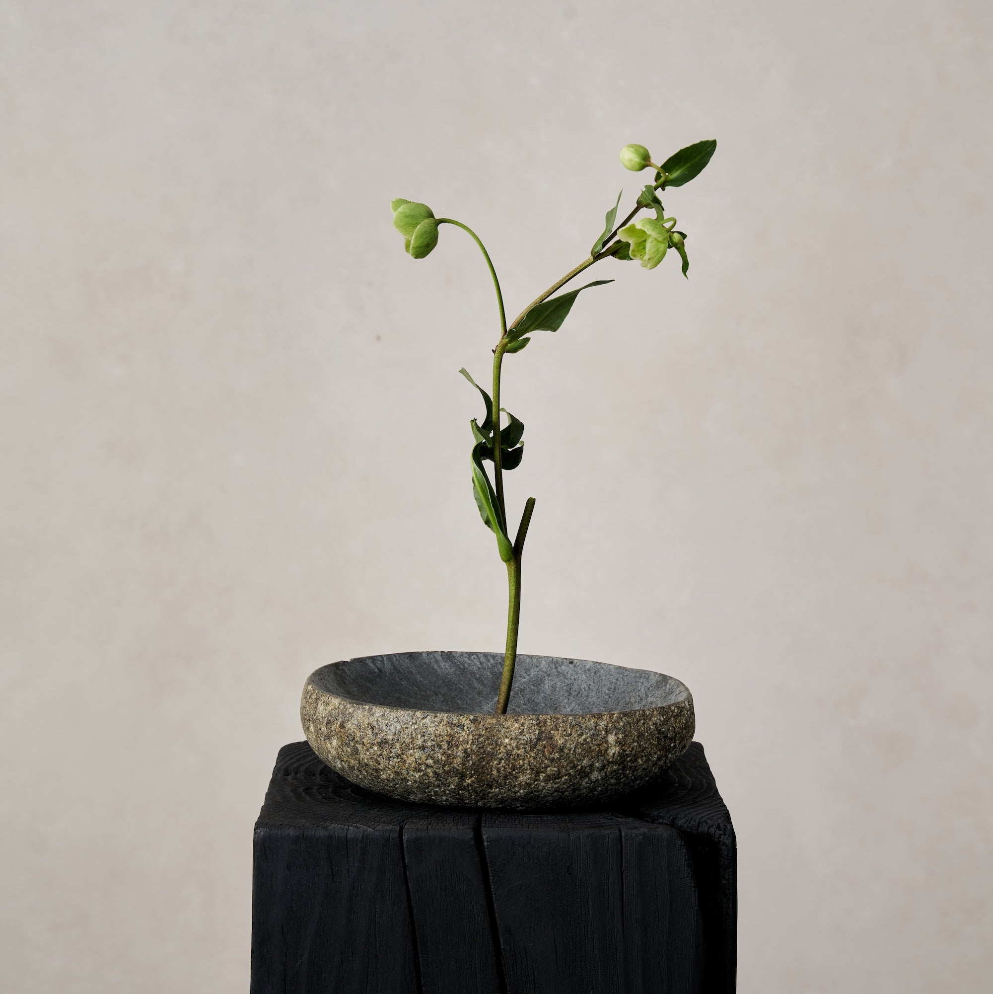 River Stone Bowl - Arte House