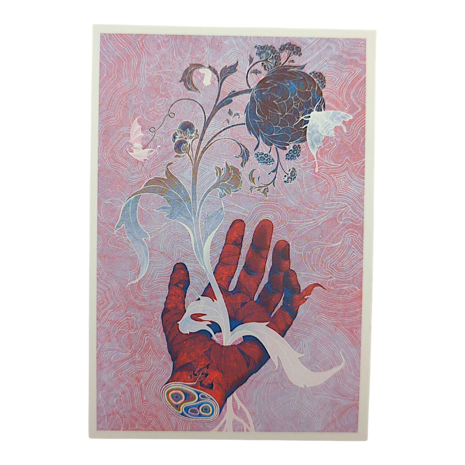 James Jean "Aperture (Celebrate Life)" Postcard - Arte House