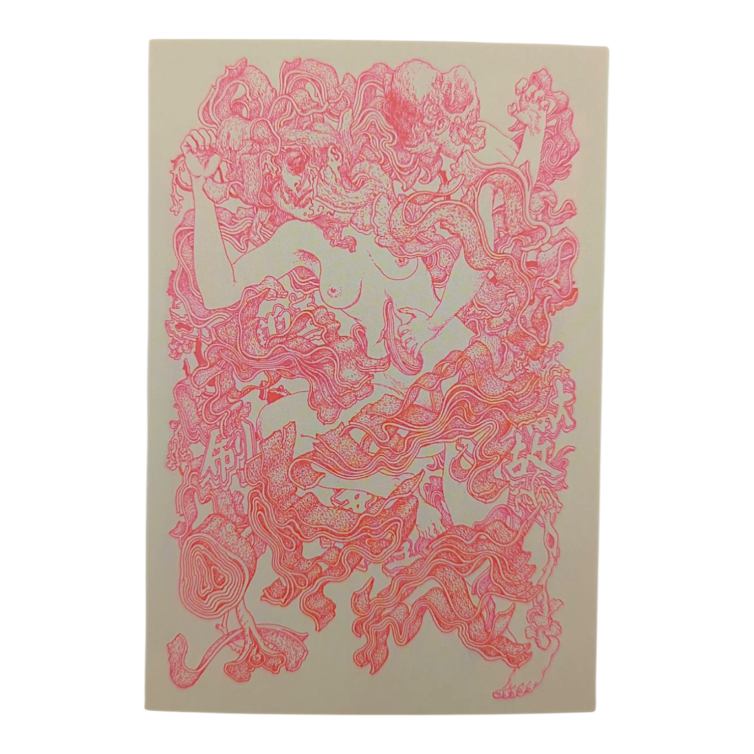 James Jean "Carnage" Postcard - Arte House