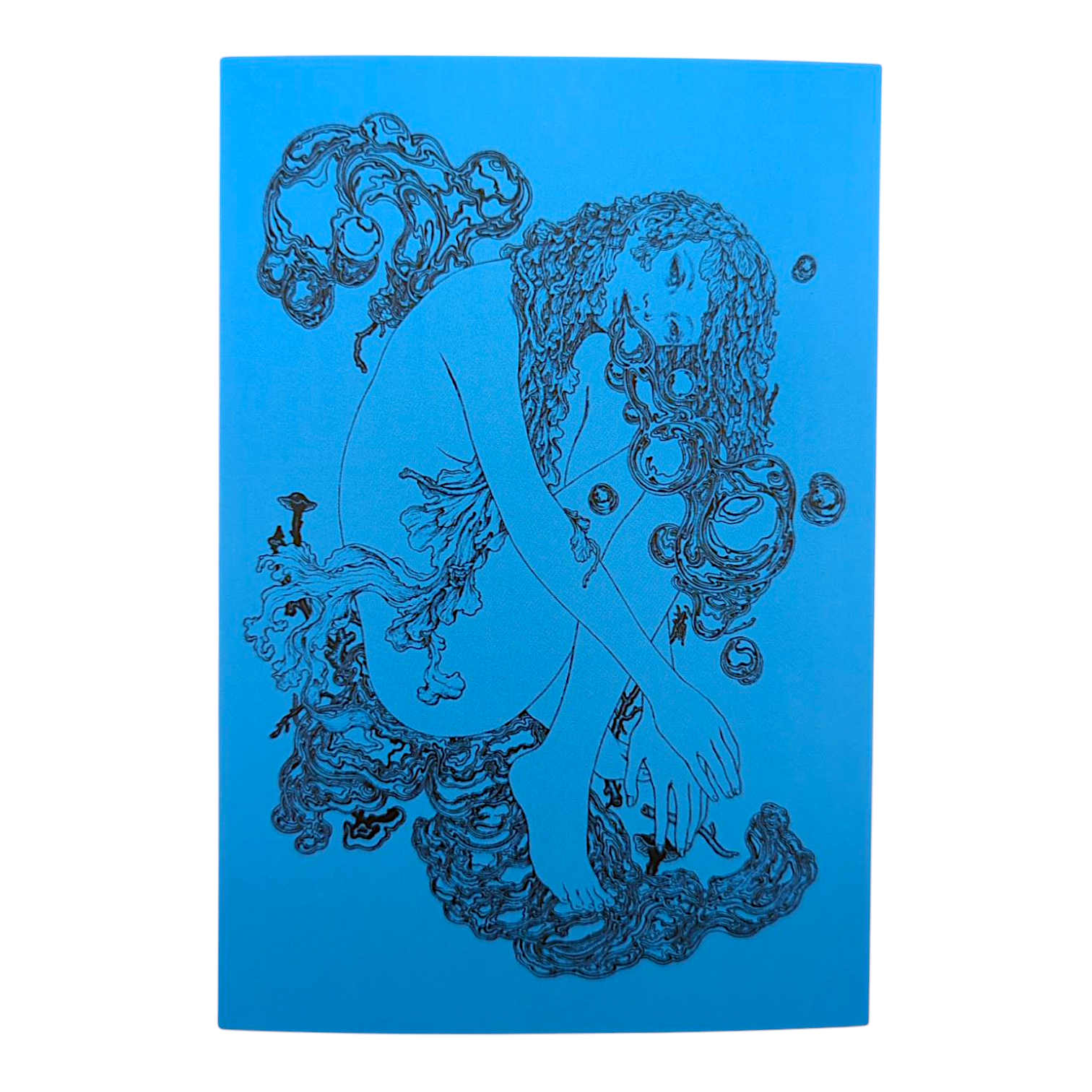 James Jean "Chrome" Postcard - Arte House