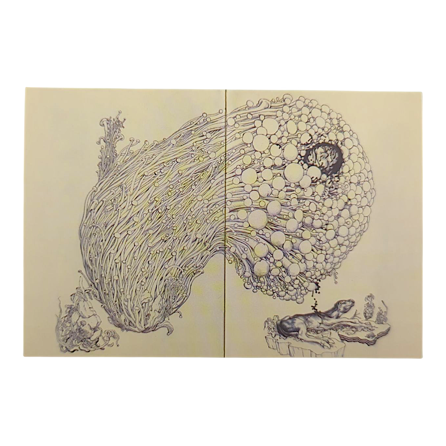 James Jean "Enoki" Postcard