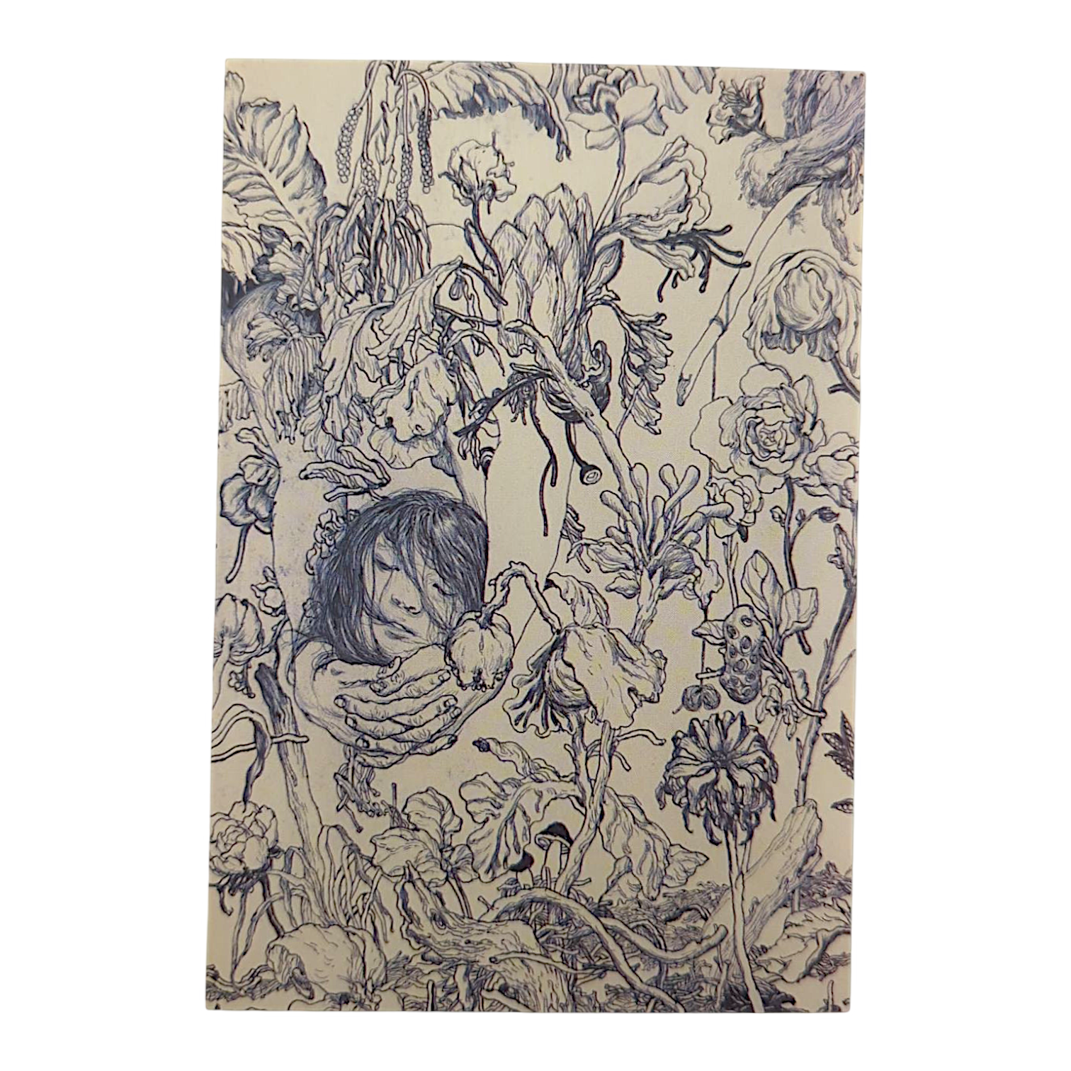 James Jean "Flora" Postcard - Arte House