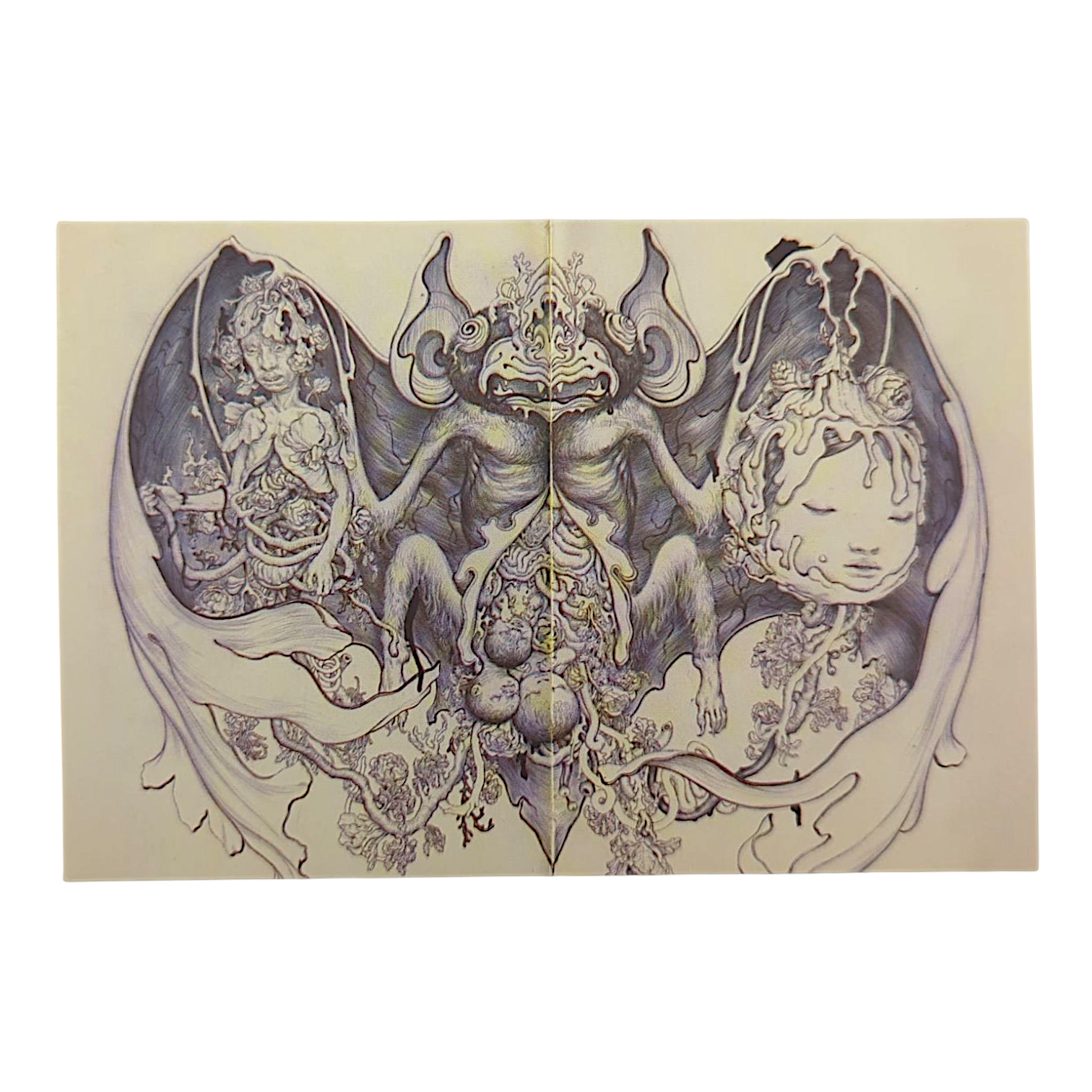 James Jean "Guano" Postcard - Arte House