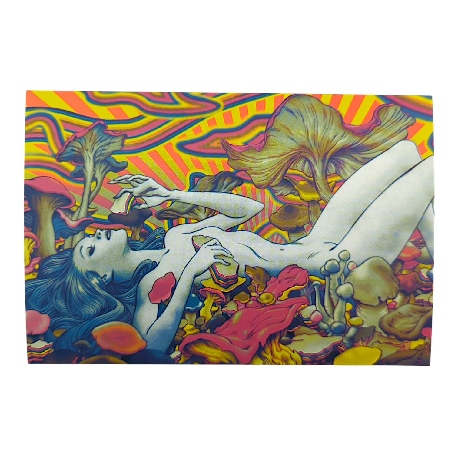 James Jean "OVM Fungi" Postcard - Arte House