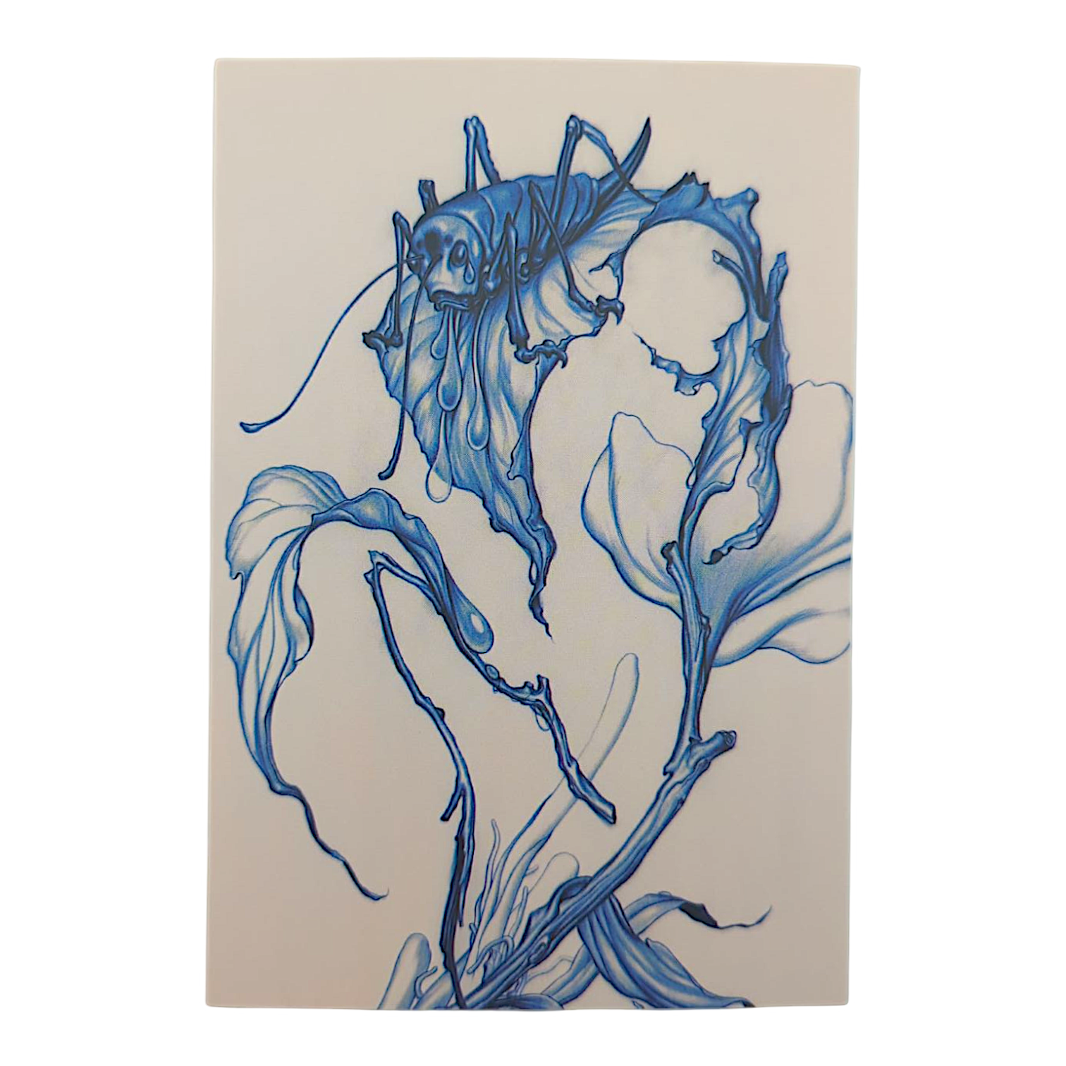 James Jean "Parched" Postcard - Arte House