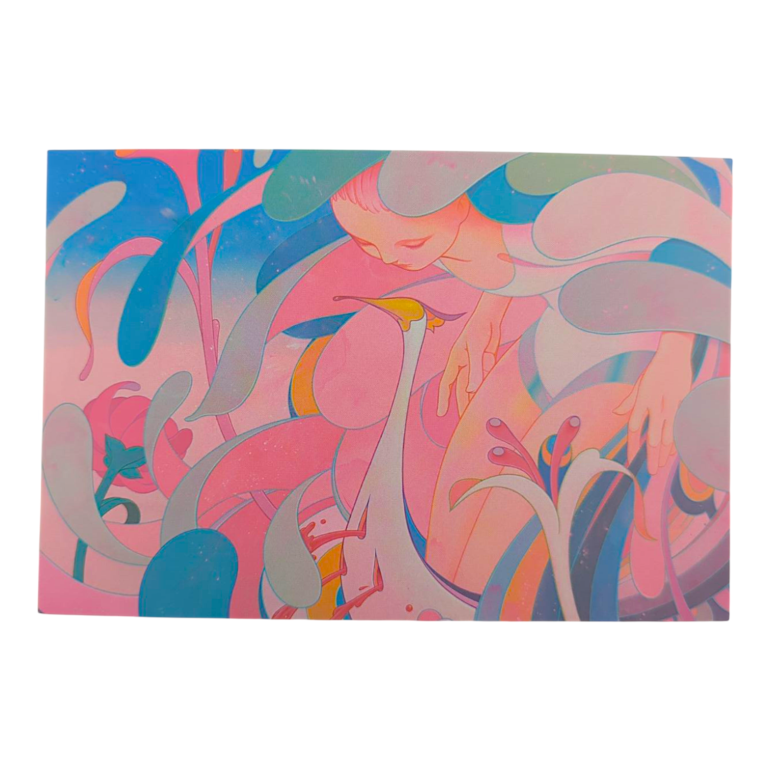 James Jean "Pelican" Postcard