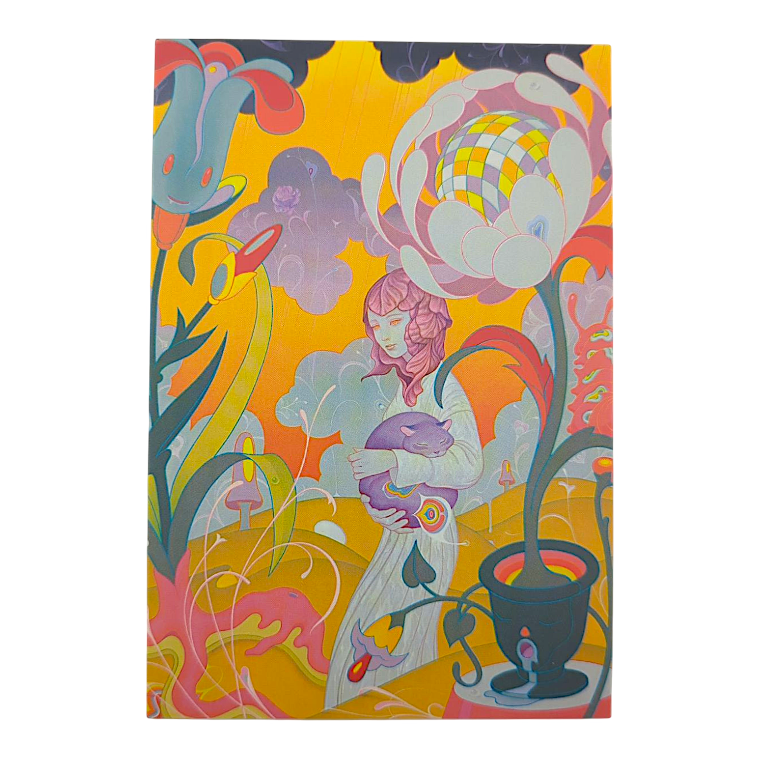 James Jean "Schrödinger's Kitten Rescue" Postcard - Arte House