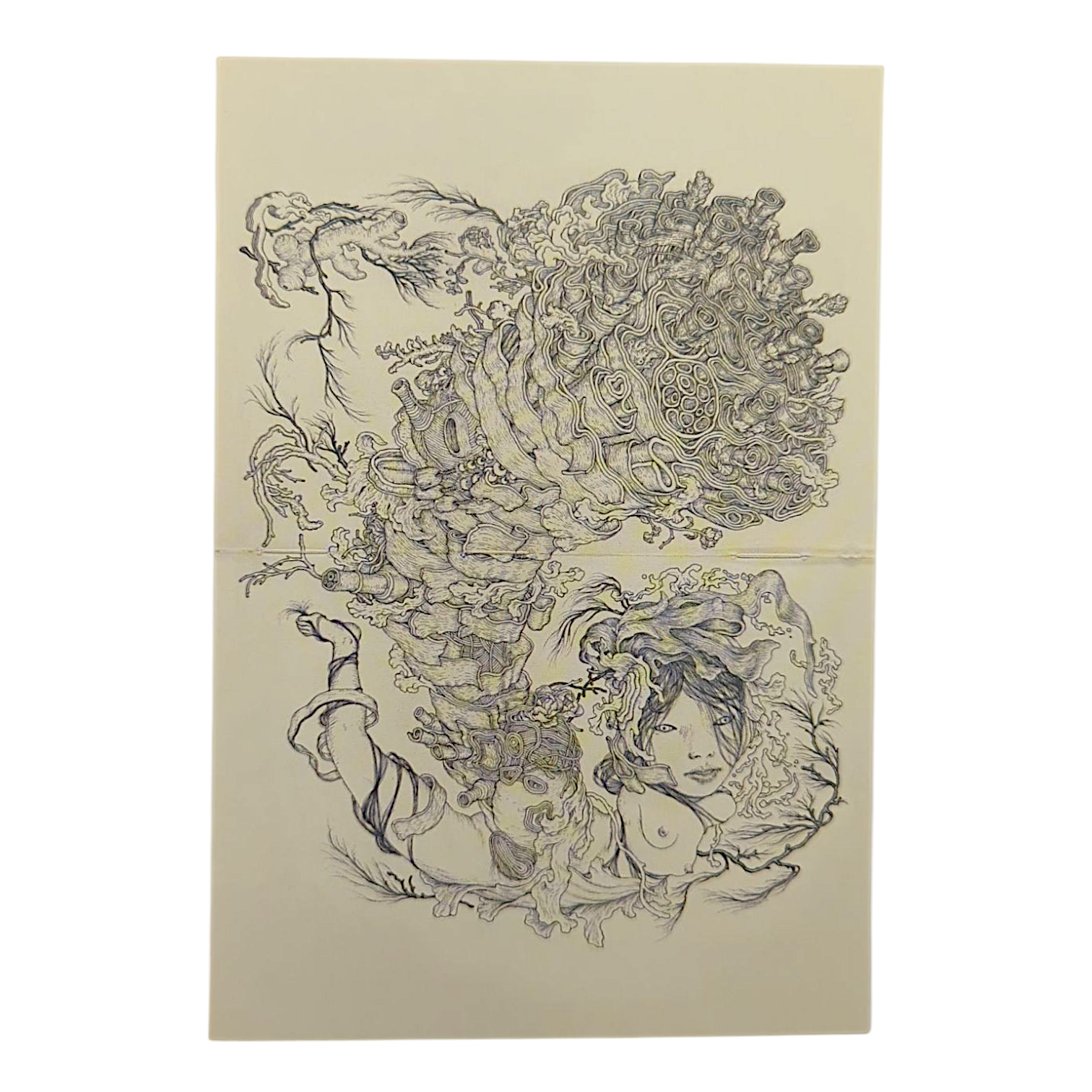 James Jean "Tumor" Postcard