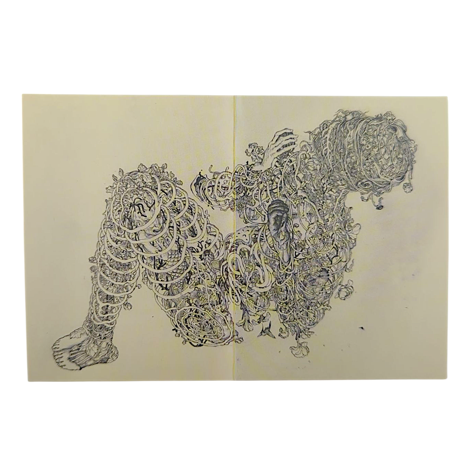 James Jean "Viscera" Postcard - Arte House
