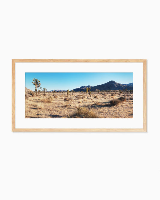 Framed desert landscape with mountains and cacti on a white background