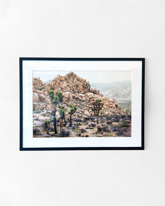 Joshua Tree Desert Landscape 30"x20" Framed Fine Art Photograph
