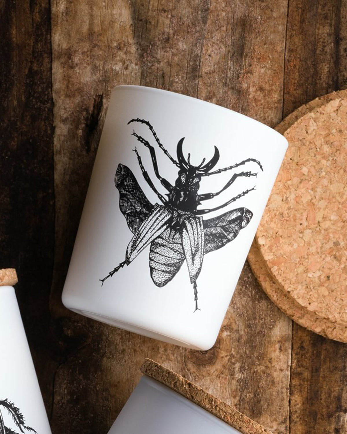 Candle in Jar INSECT  Wood Wick 190gr - Arte House