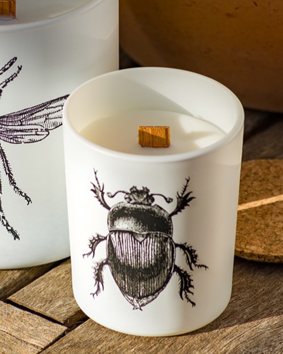 Candle in Jar INSECT  Wood Wick 190gr - Arte House