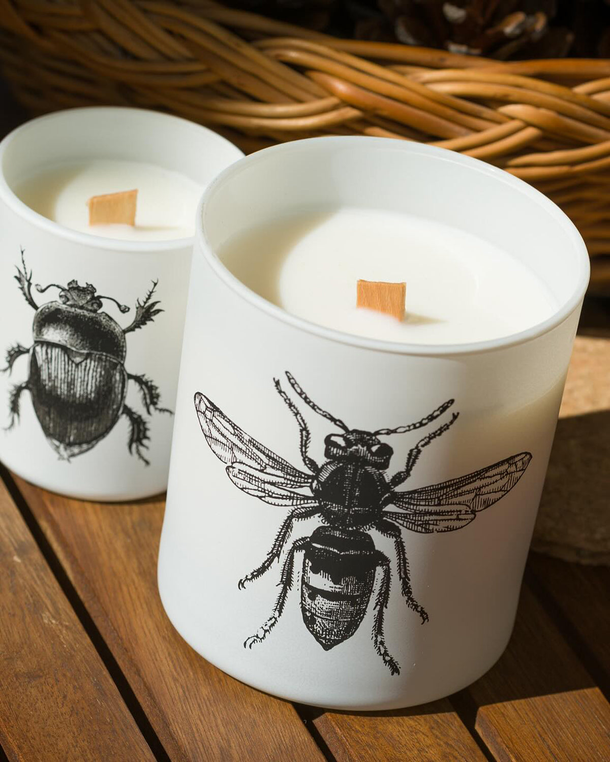 Candle in Jar INSECT  Wood Wick 190gr - Arte House