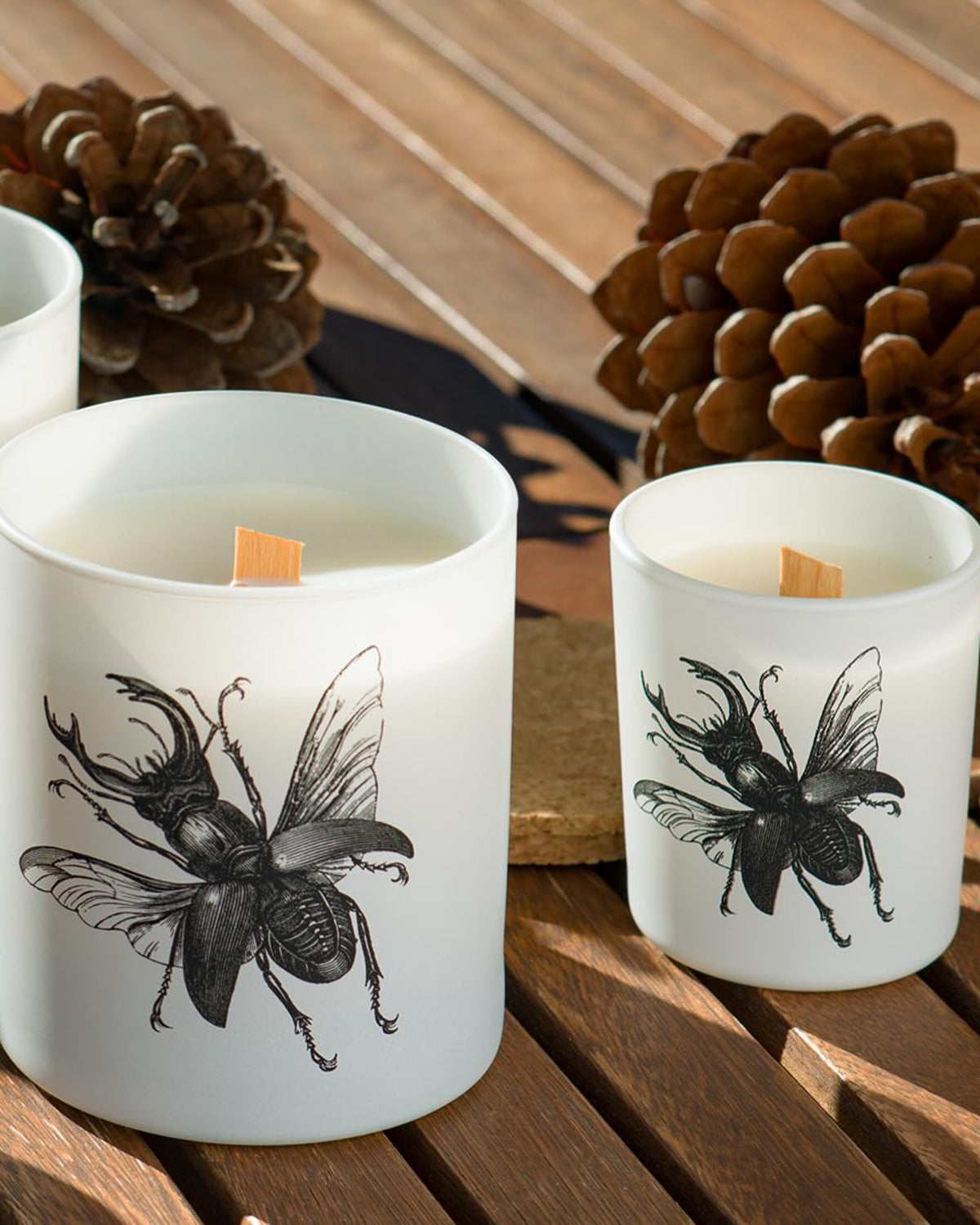Candle in Jar INSECT  Wood Wick 190gr - Arte House