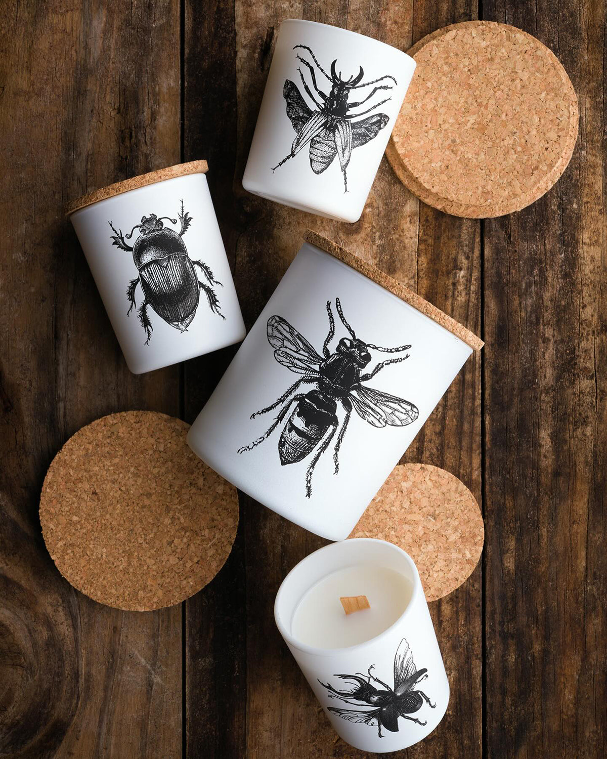 Candle in Jar INSECT  Wood Wick 190gr - Arte House