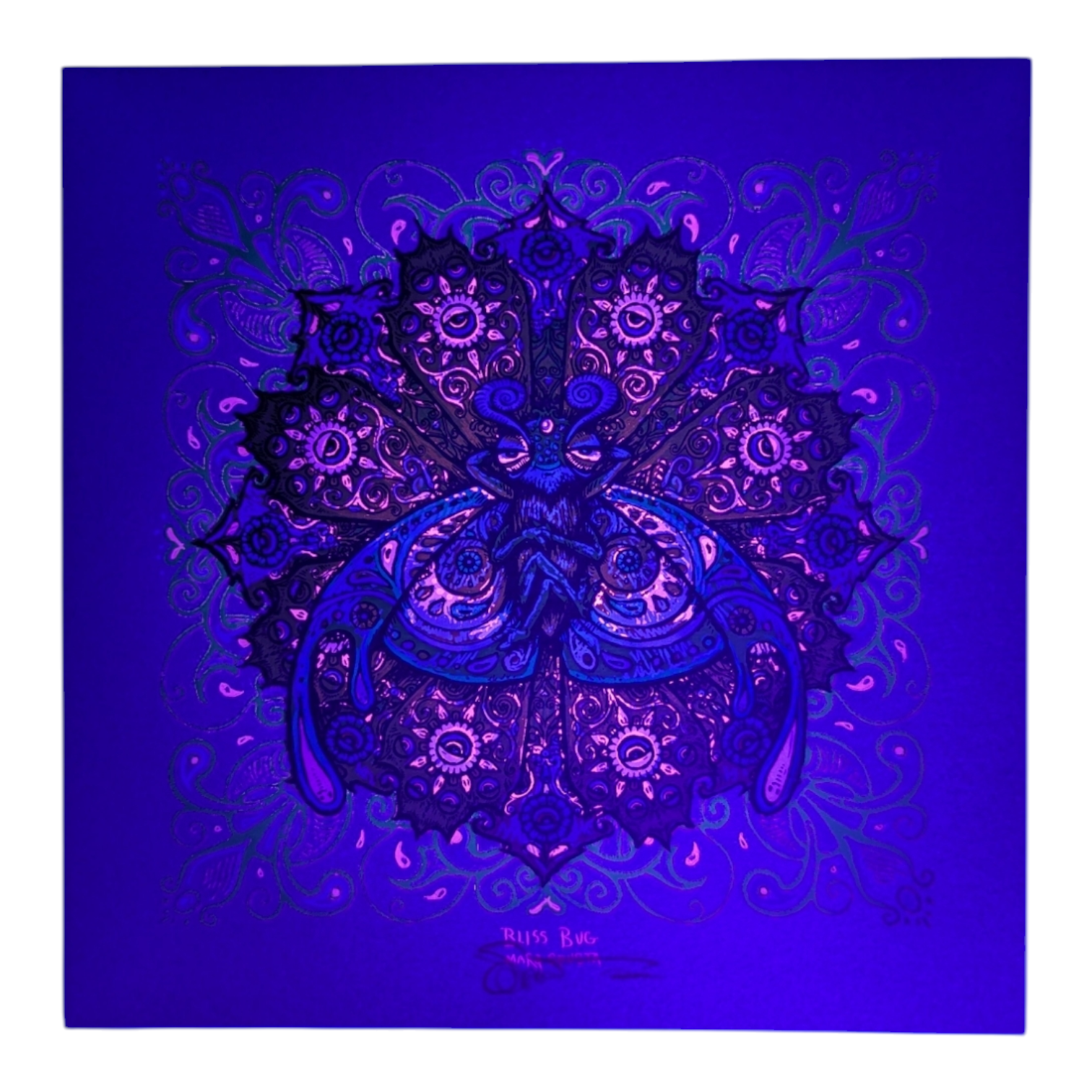 Marq Spusta "Bliss Bug" (Wine Shimmer) Mini Print - Arte House