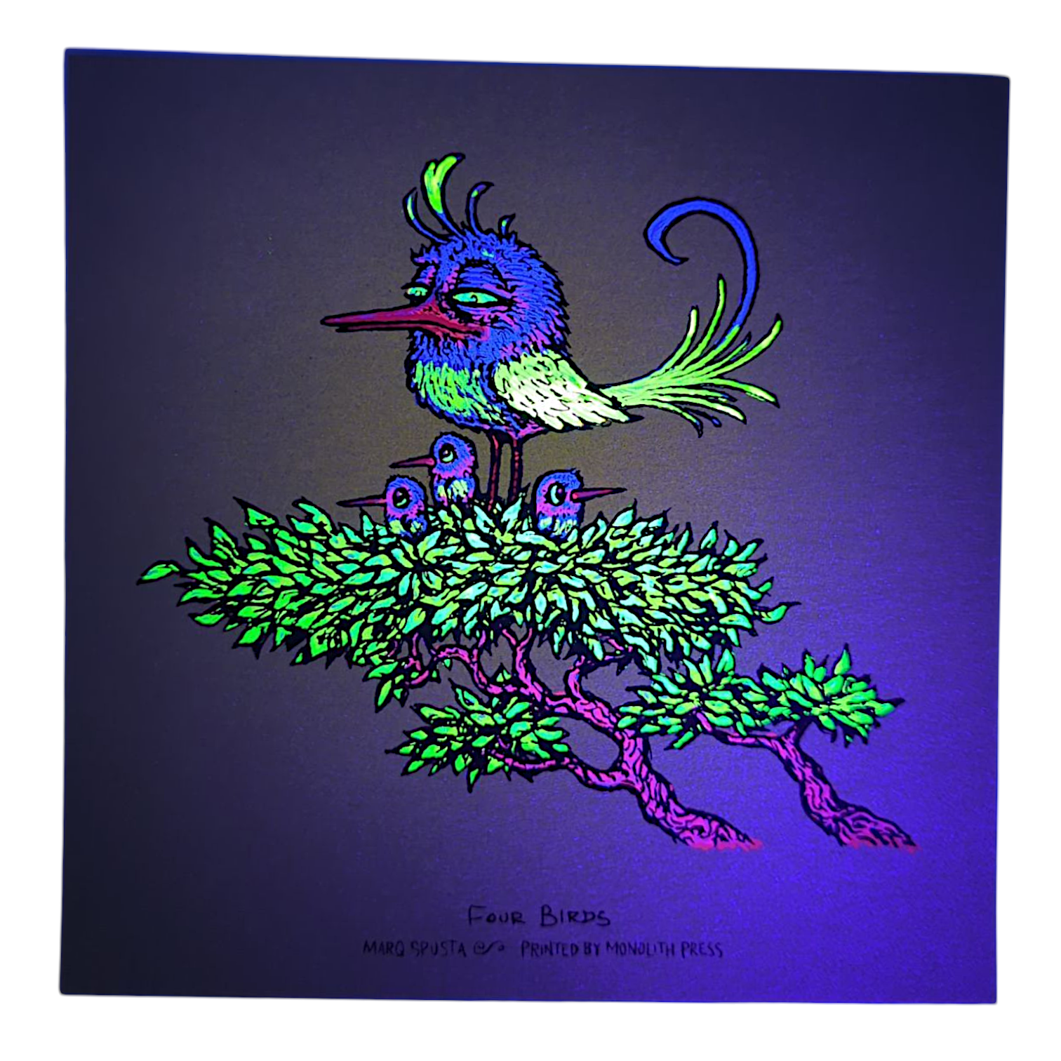 Marq Spusta "Four Birds" (Green Shimmer) Mini Print