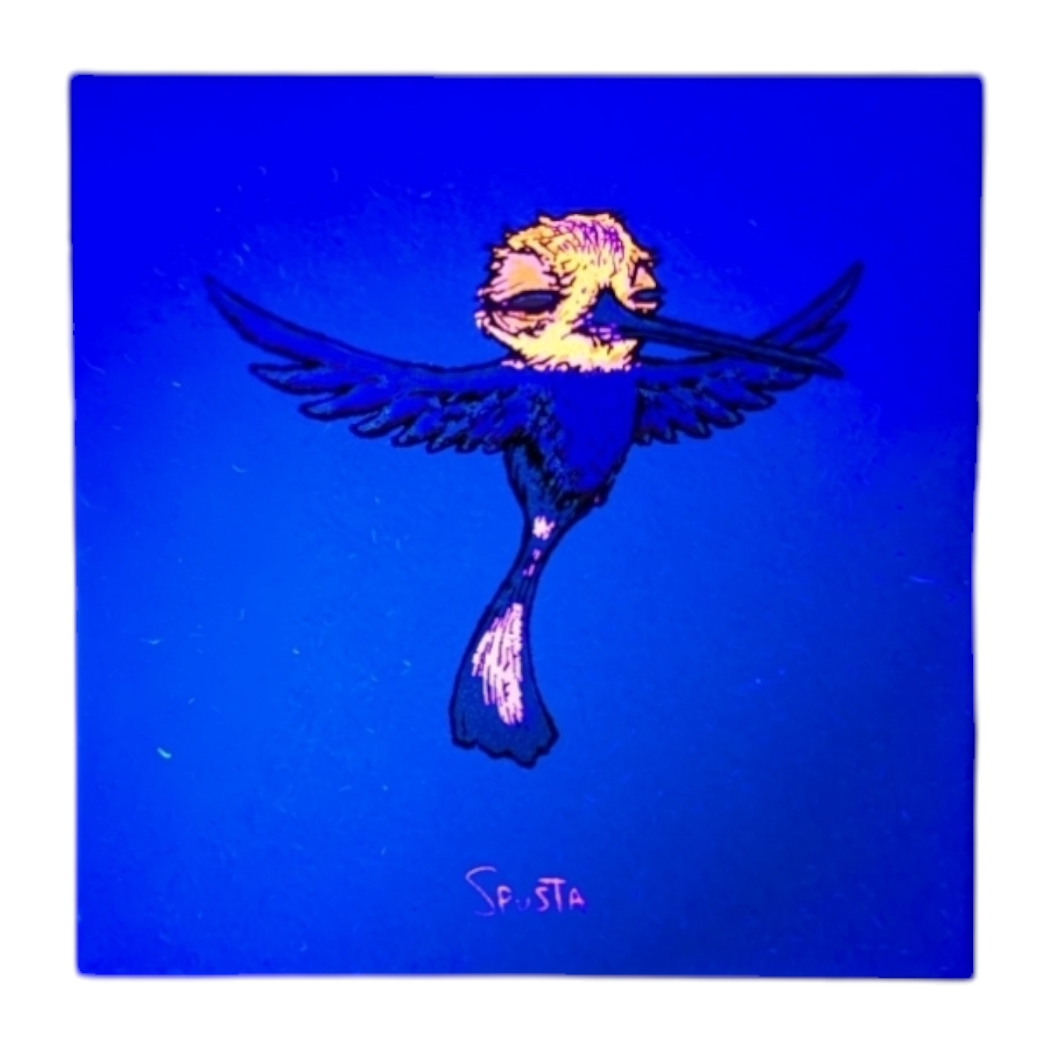 Marq Spusta Hummingbird (Light Blue) Micro Print - Arte House