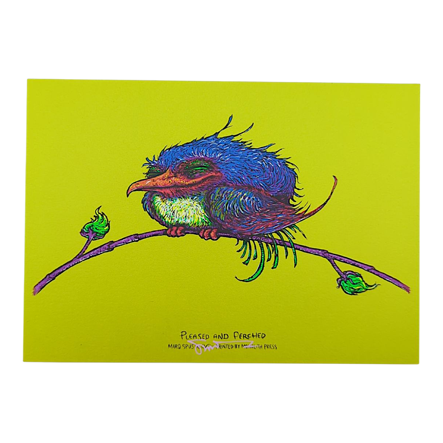 Marq Spusta "Pleased and Perched" (Sticky Yellow/Green) Mini Print - Arte House