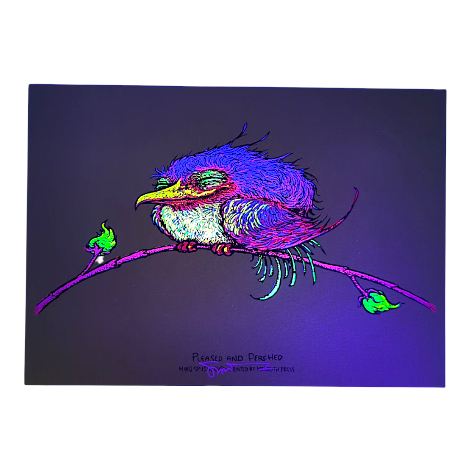 Marq Spusta "Pleased and Perched" (Sticky Yellow/Green) Mini Print - Arte House