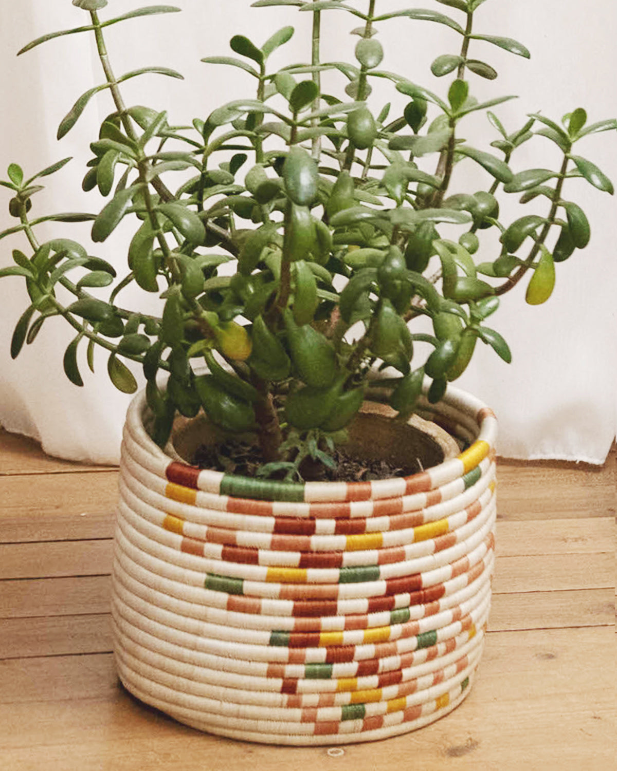Guacamaya Storage Baskets - 2 sizes - Arte House
