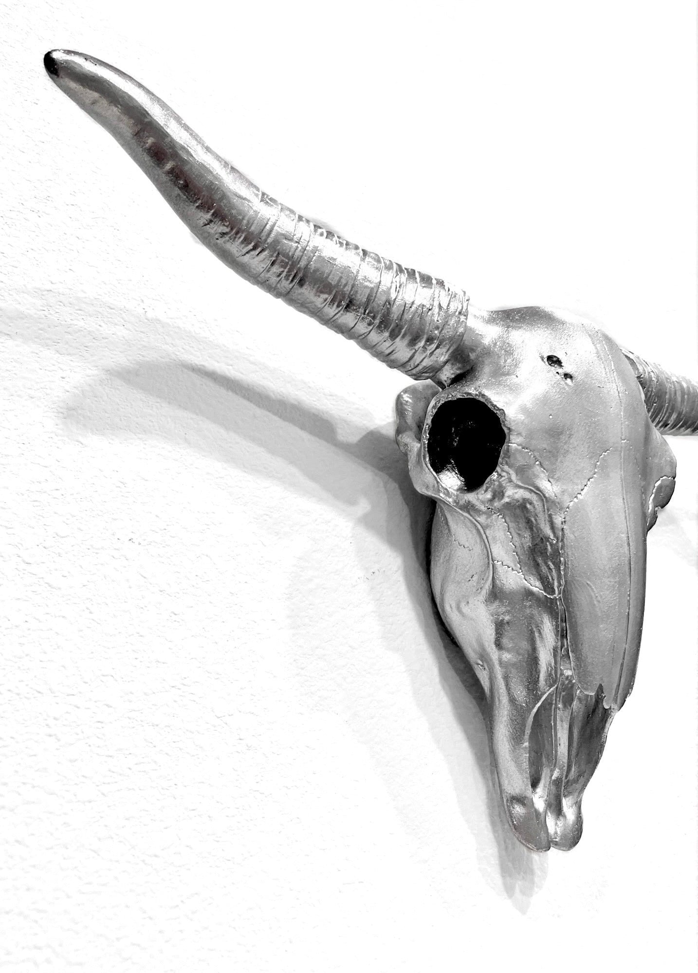 OVERSIZED METALLIC SILVER BULL SKULL - Arte House