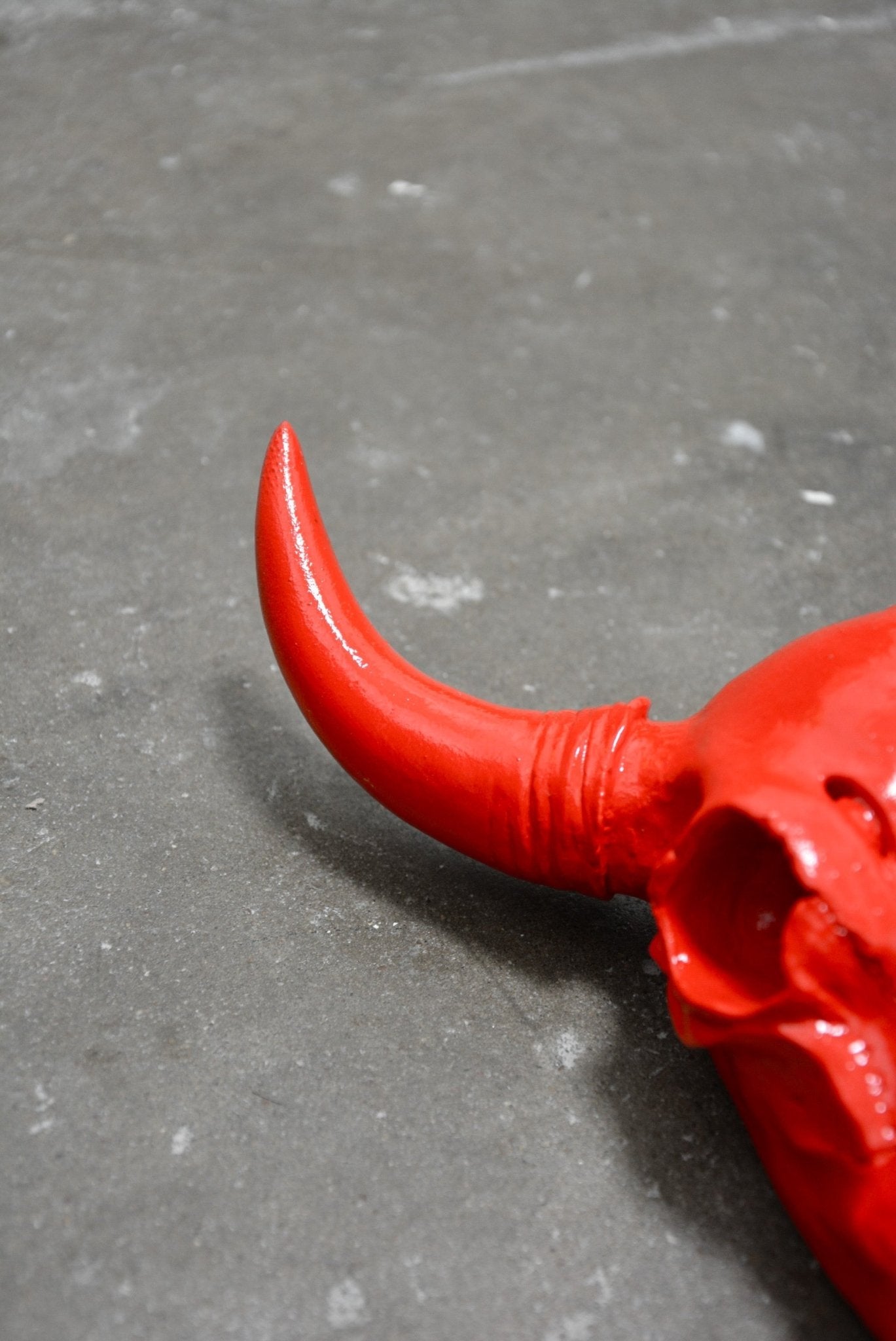 SAVAGE CHERRY RED BULL SKULL - Arte House