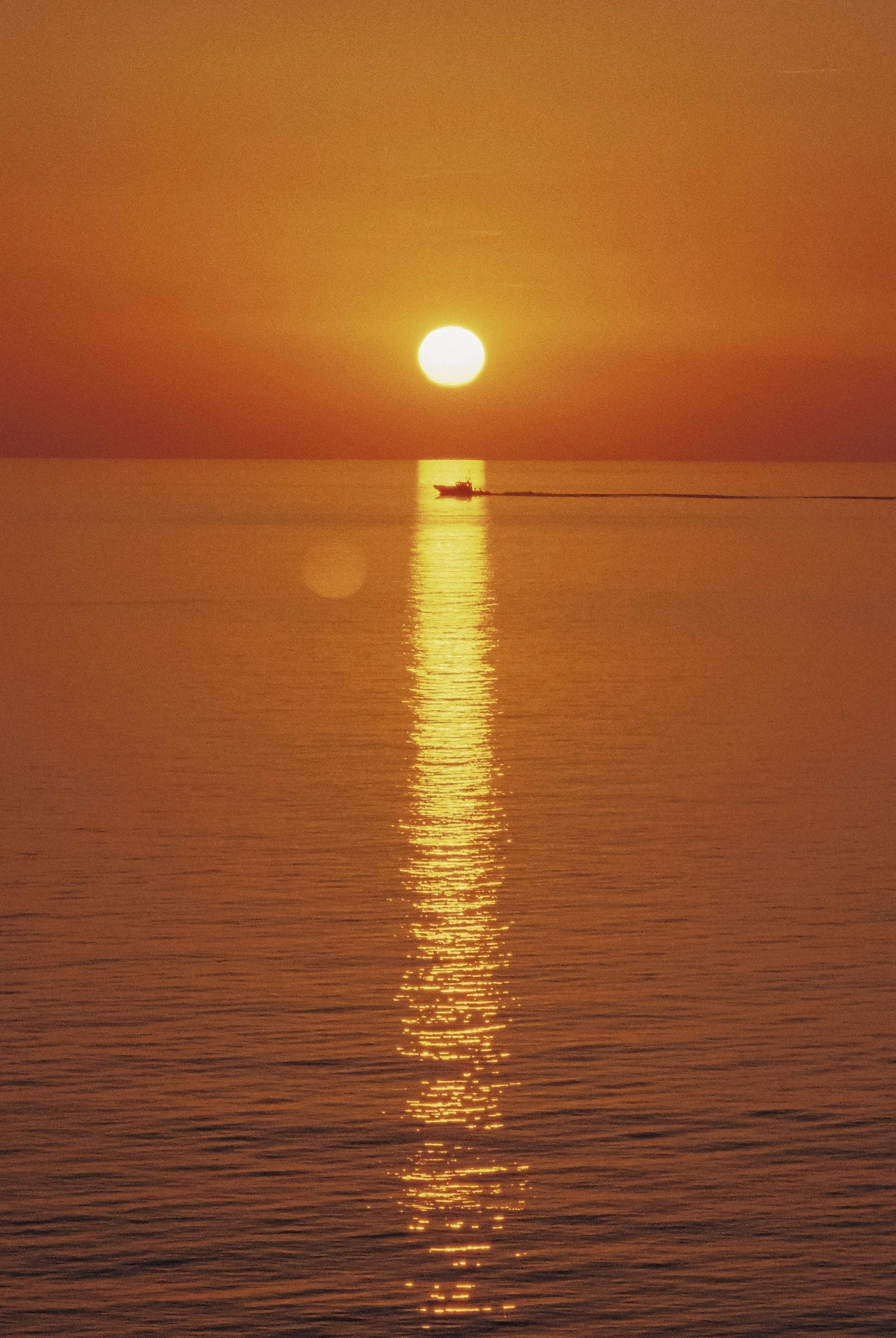 The Orange